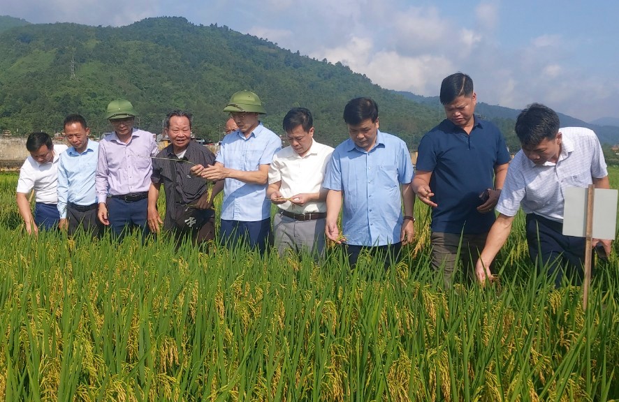 Các đại biểu tại hội nghị đầu bờ. z6620407640312-4f33024750dd9c00de3f9f9c3b2ac9ac.jpg