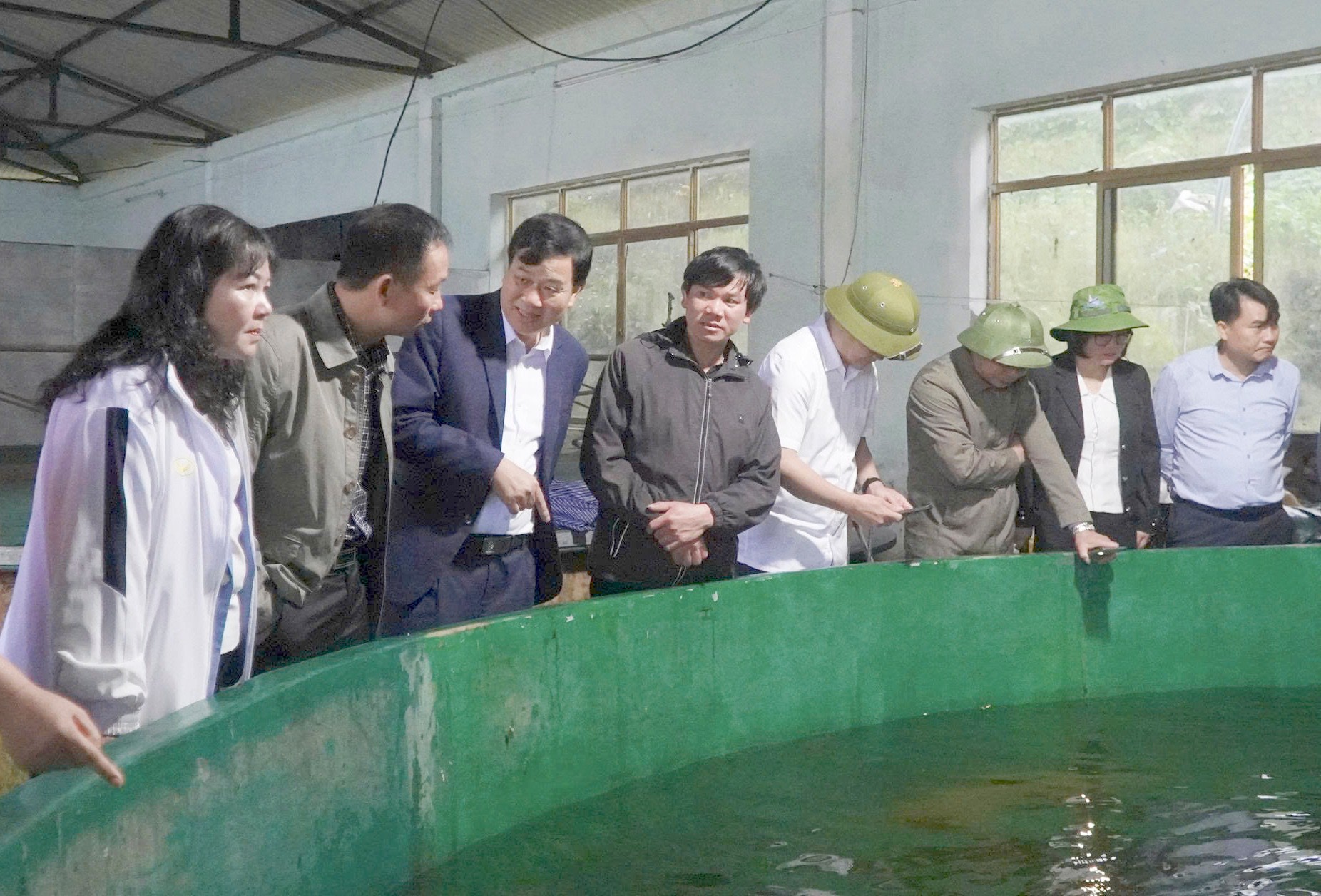 Đoàn công tác thăm mô hình nuôi cá nước lạnh. z6650383424934-7d2ce26b4c13d1f71a8f697da9f34fd3.jpg