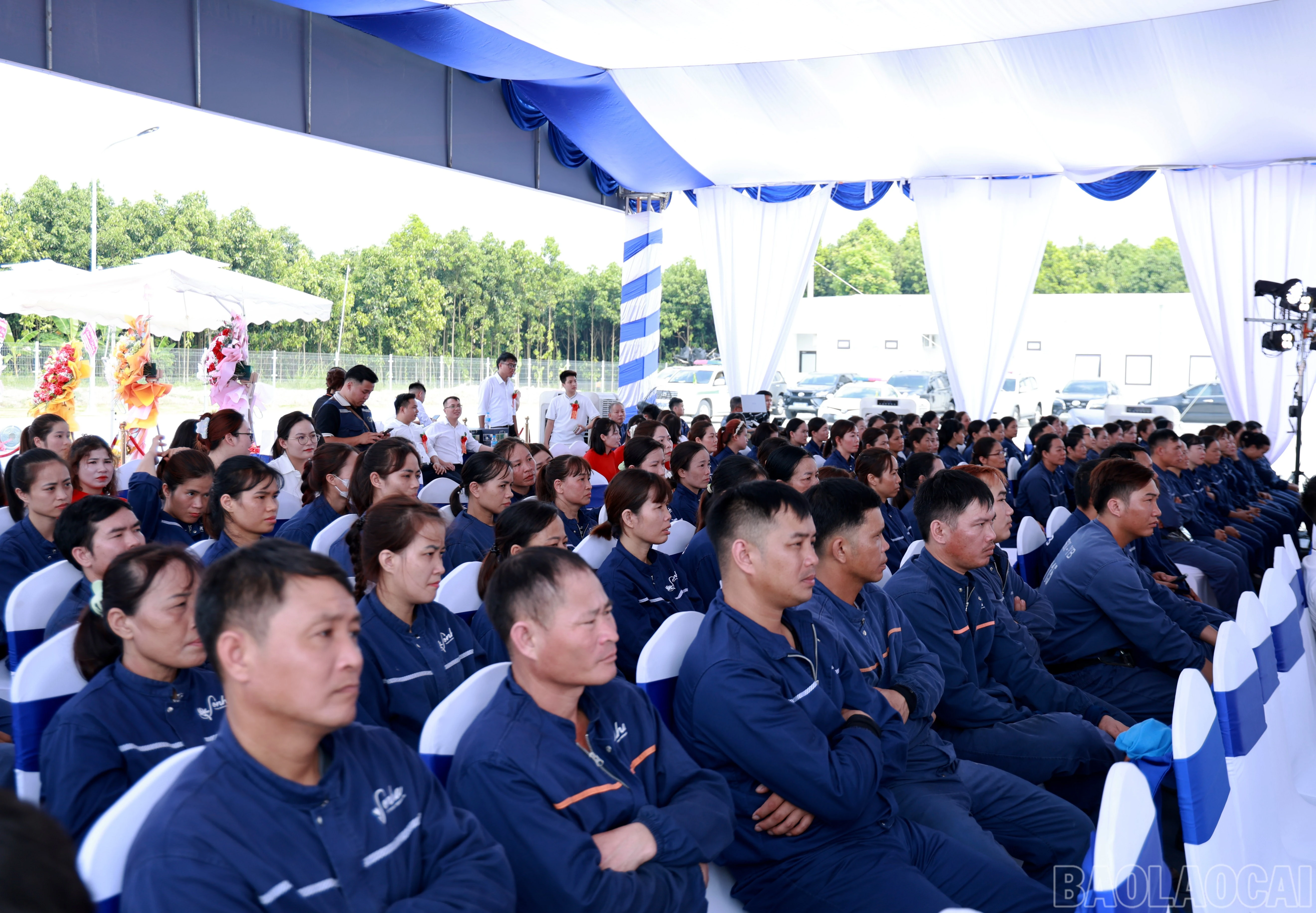 baolaocai-br_060a8920.jpg