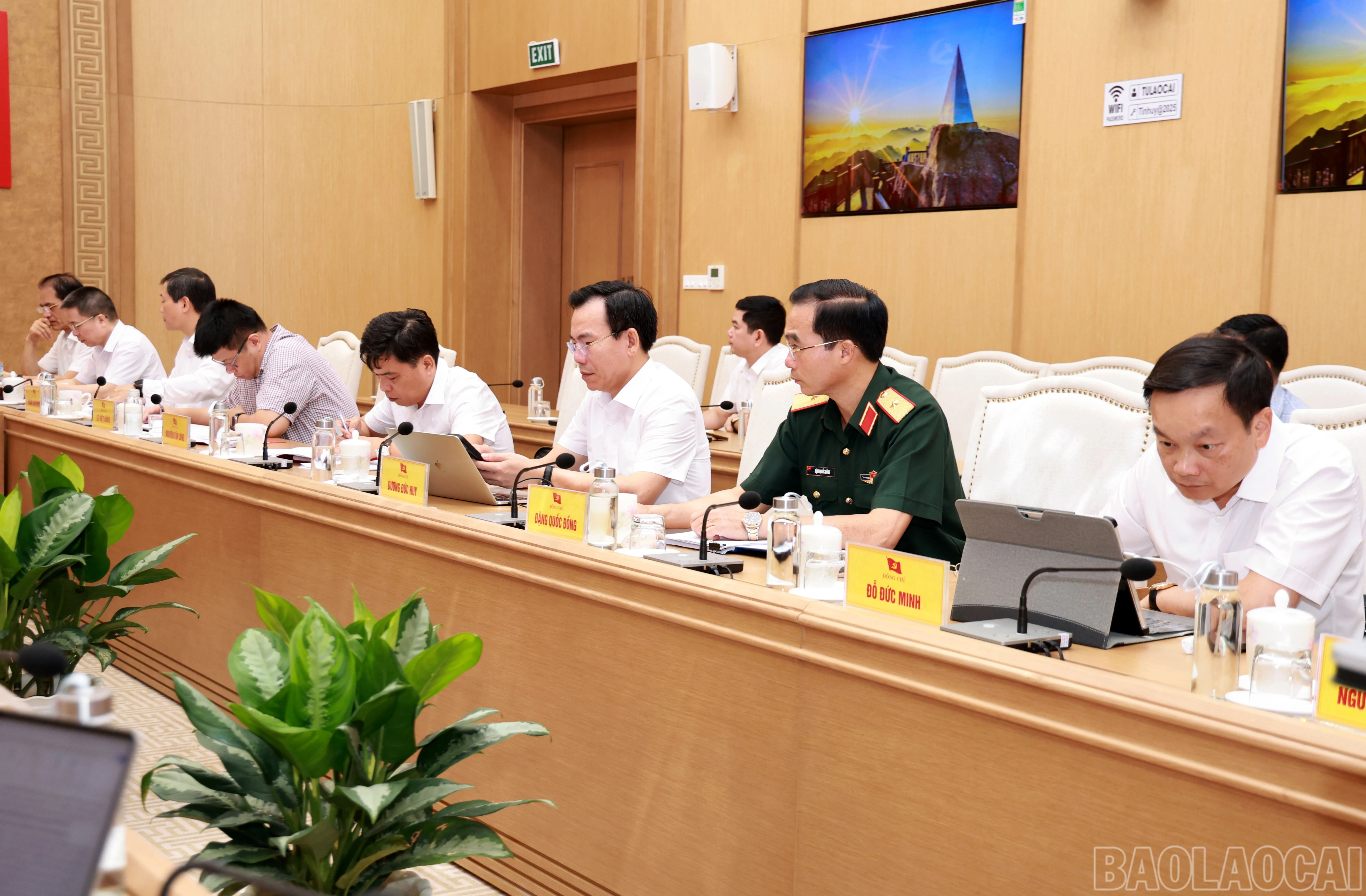 baolaocai-br_060a8847.jpg