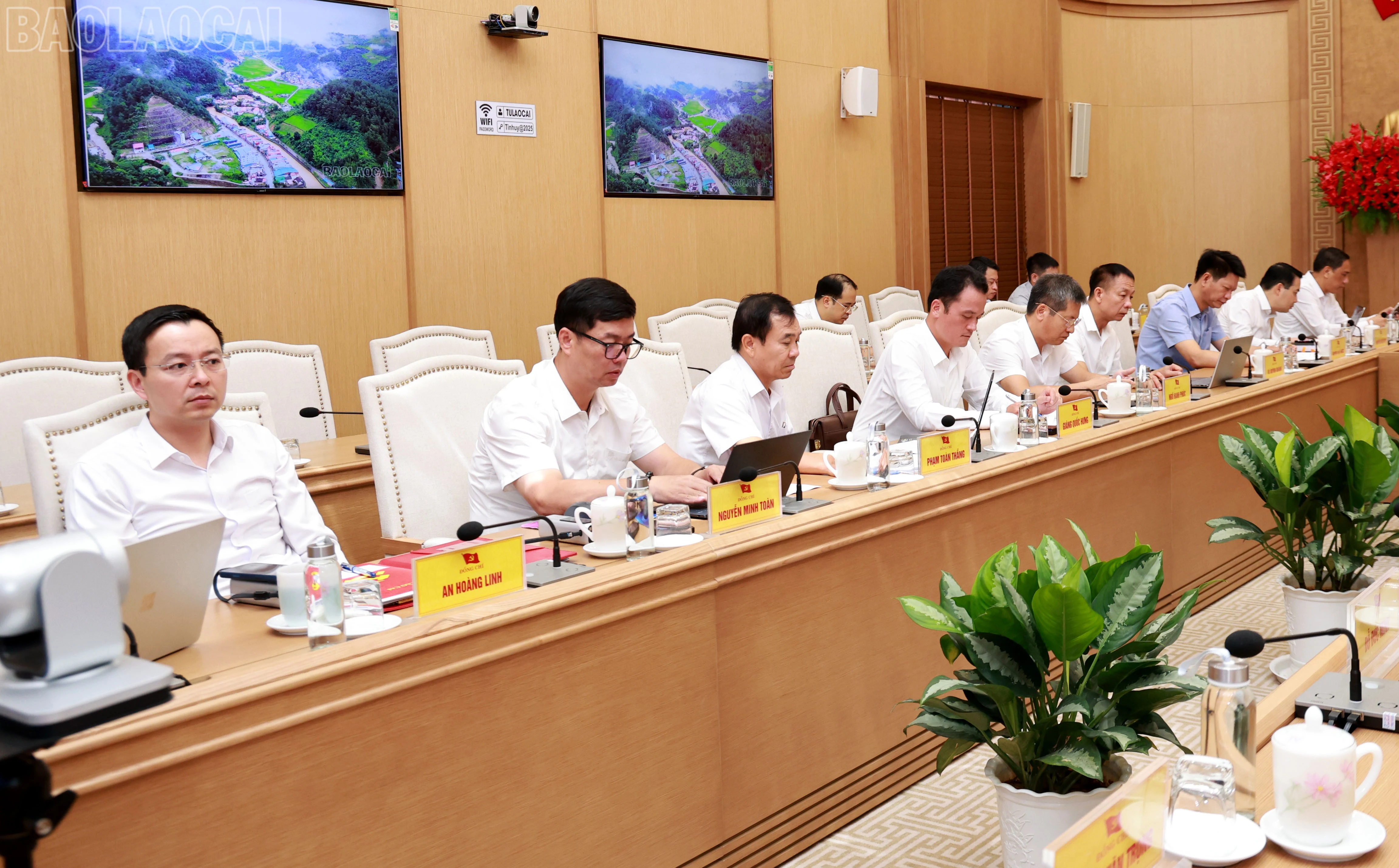 baolaocai-tl_060a8815.jpg