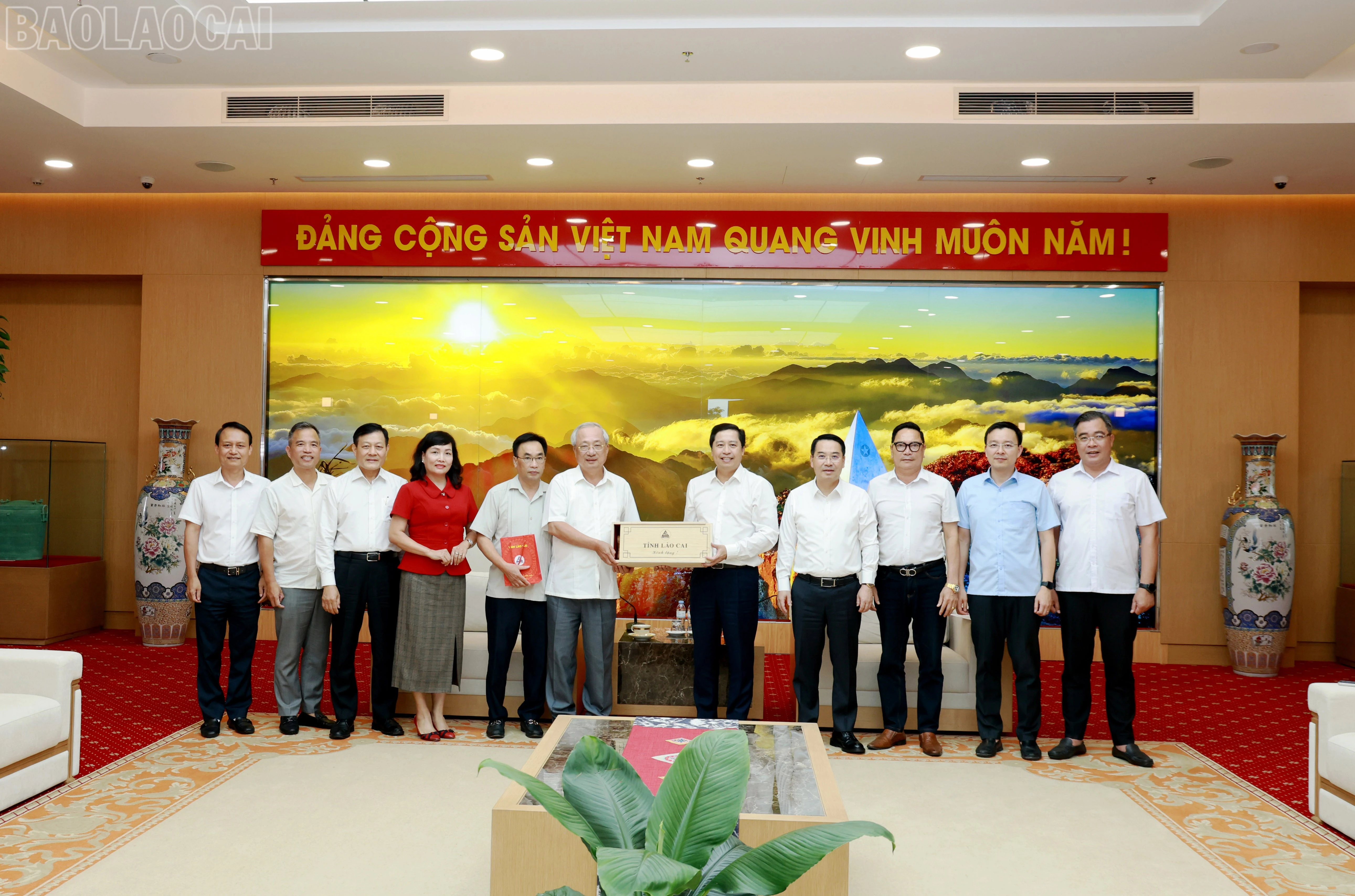 baolaocai-tl_060a8583.jpg