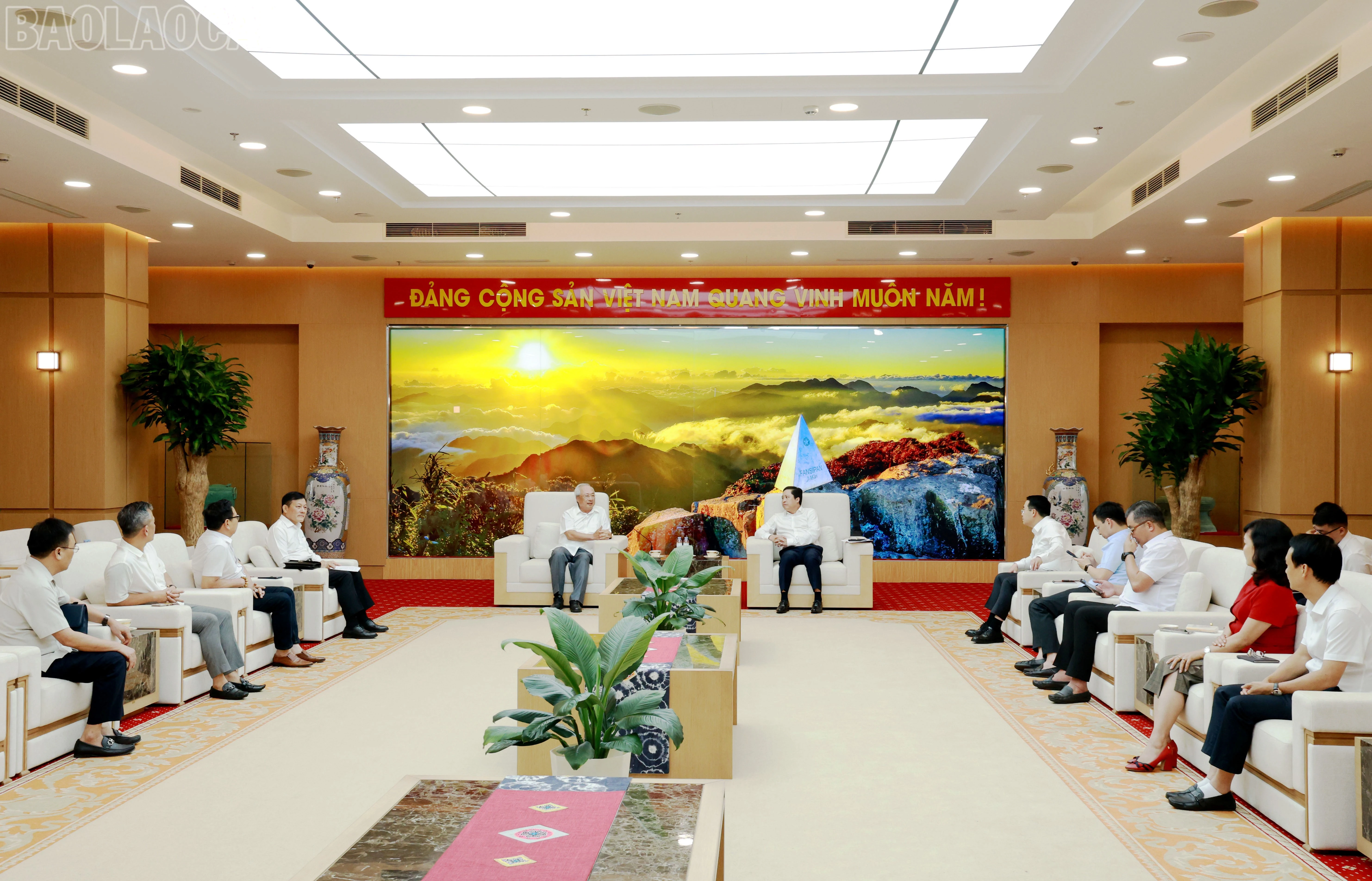 baolaocai-tl_060a8552.jpg