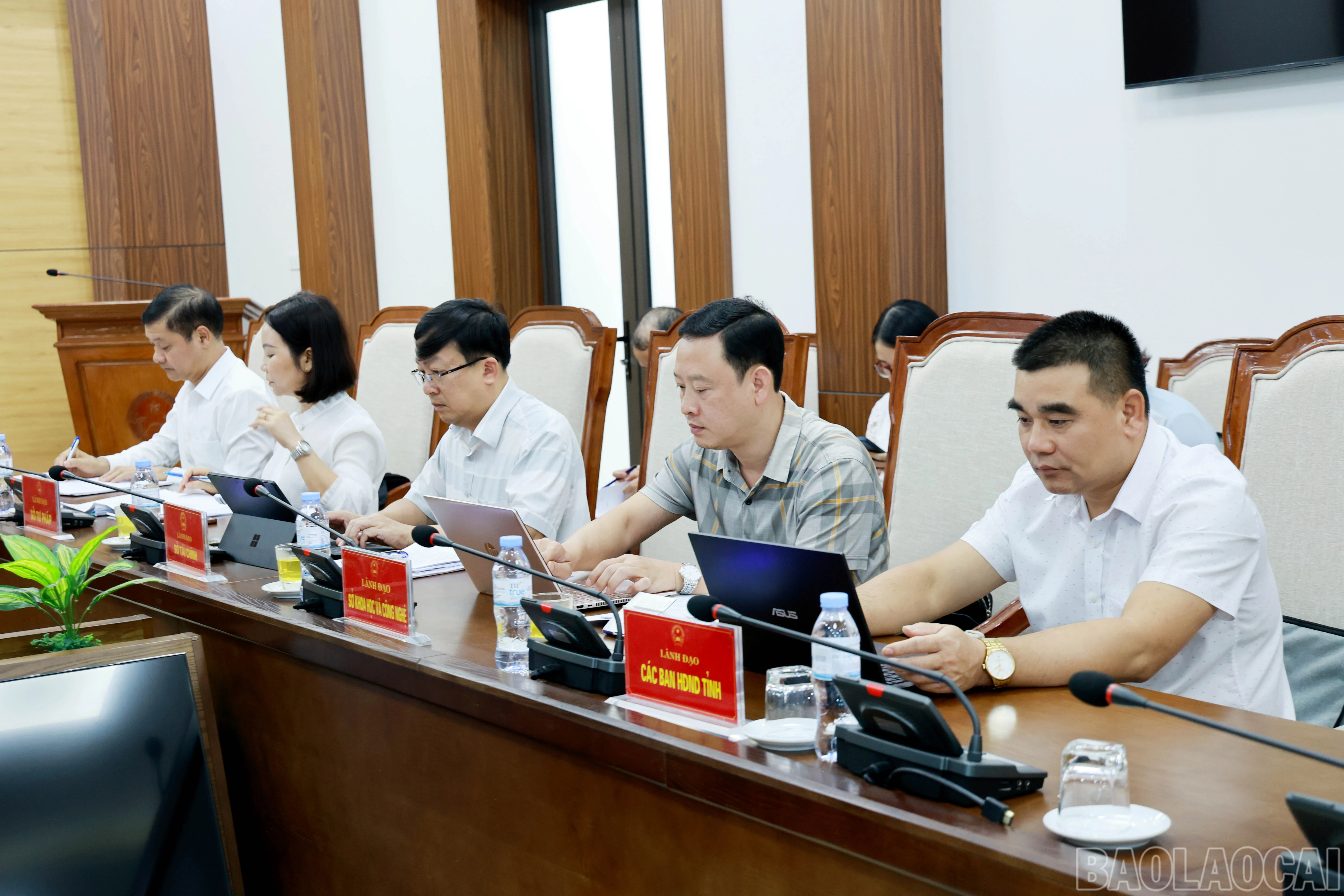 baolaocai-br_060a8494.jpg
