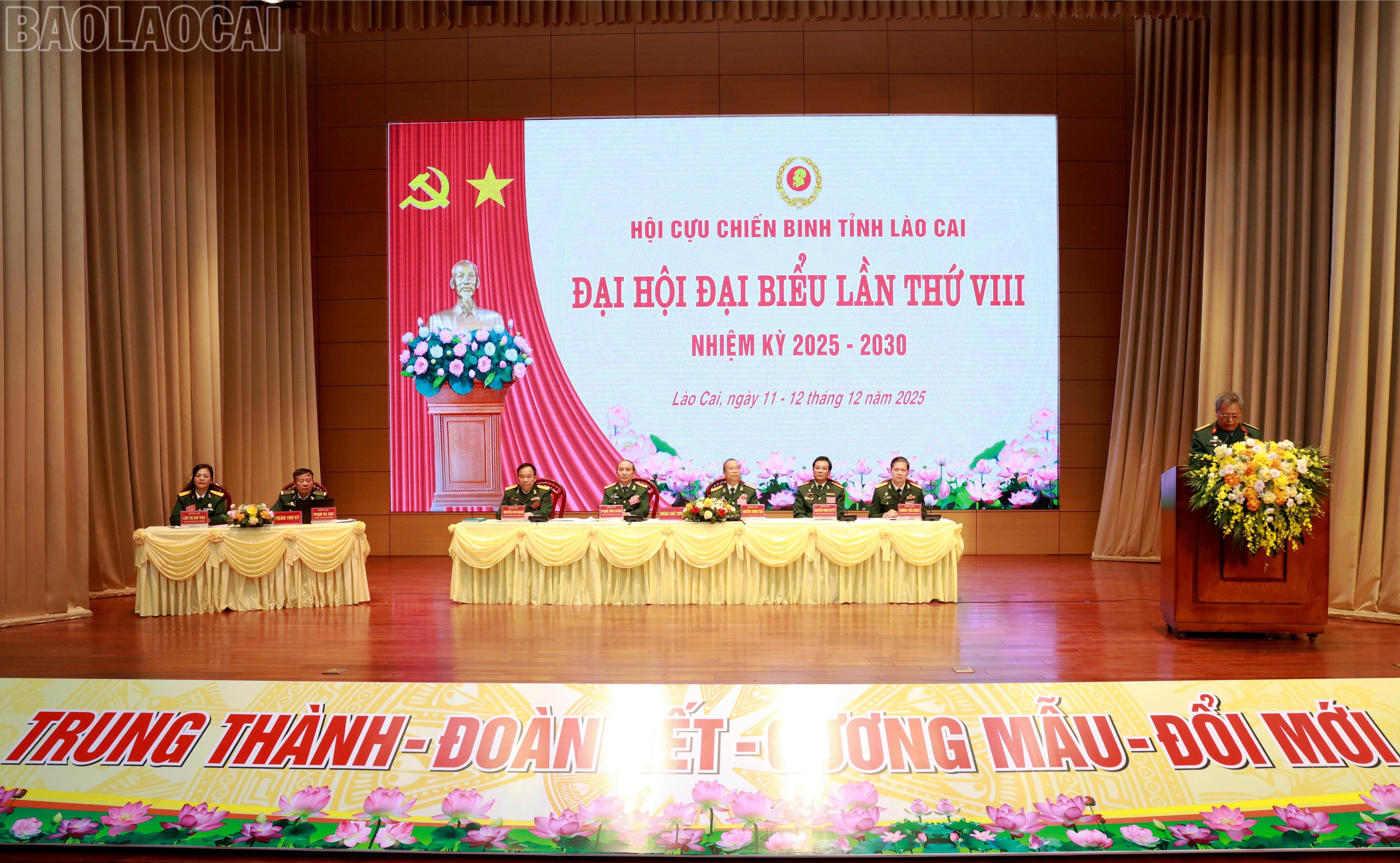 baolaocai-tl_060a5563.jpg