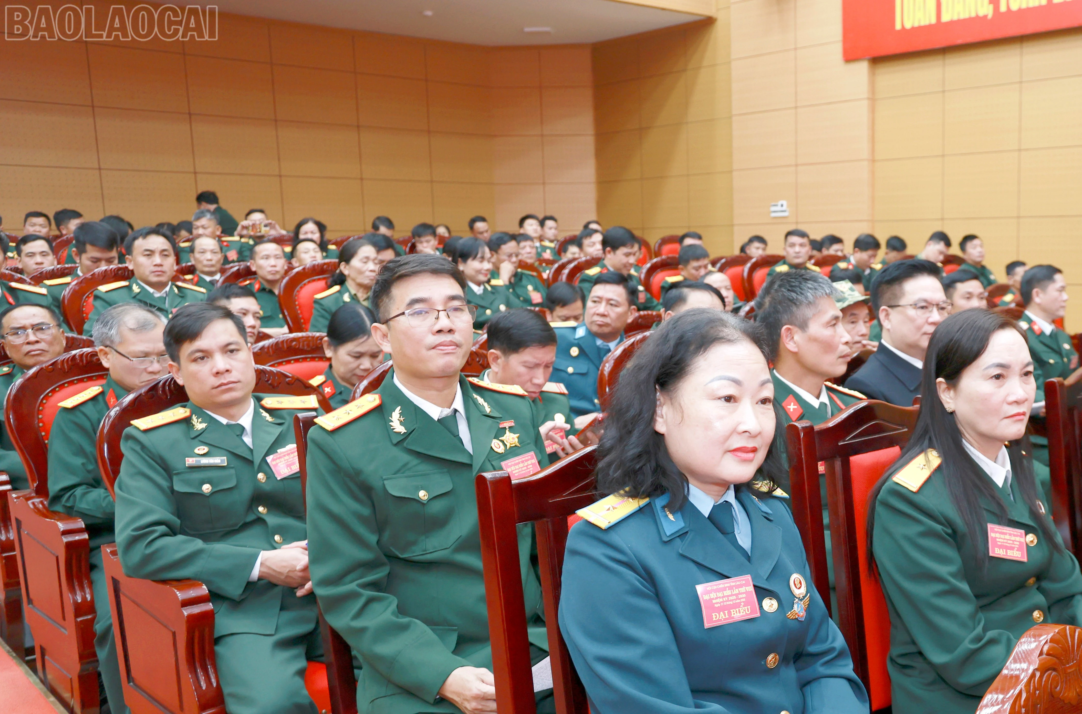 baolaocai-tl_060a5510.jpg