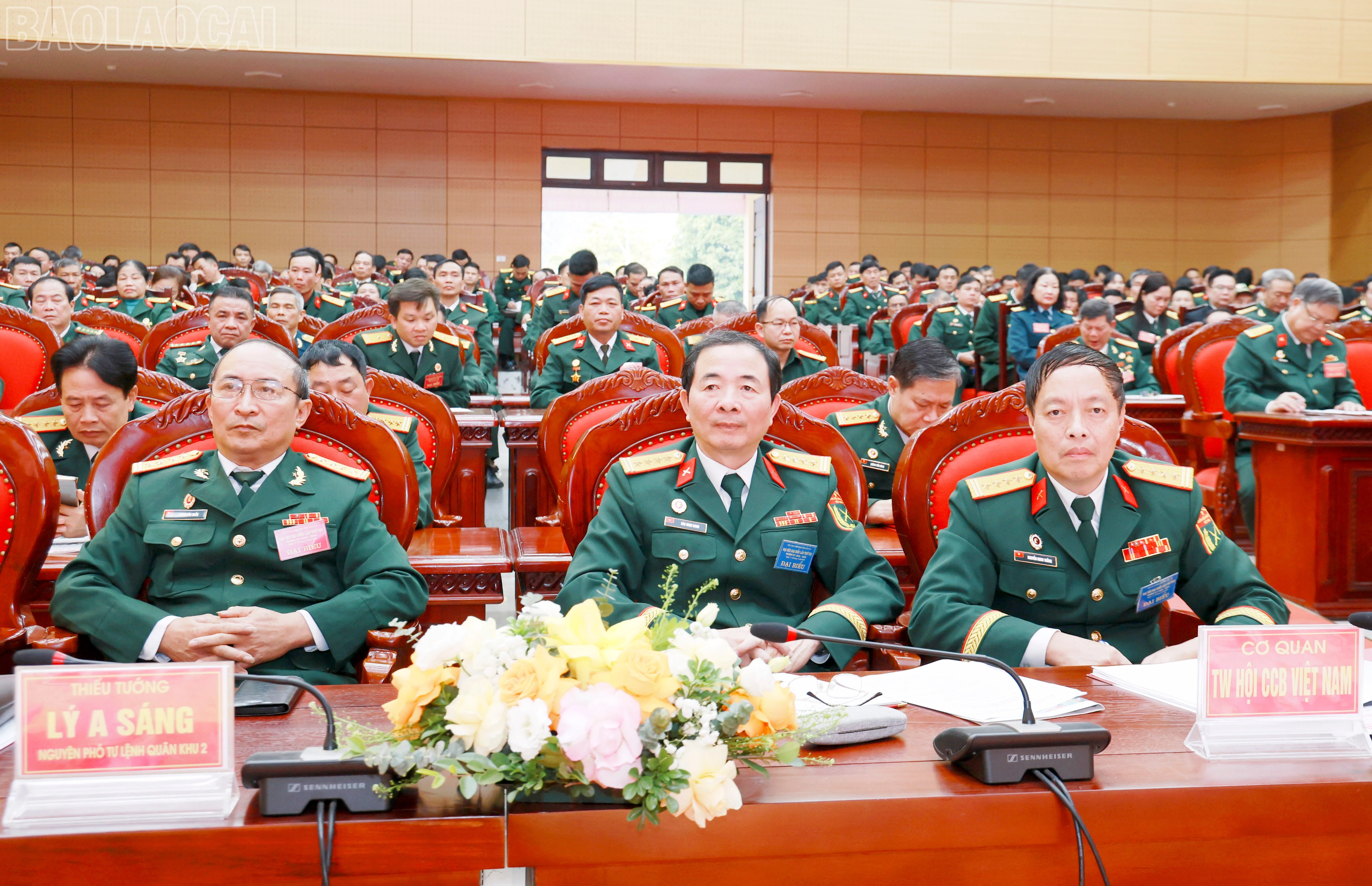 baolaocai-tl_060a5521.jpg