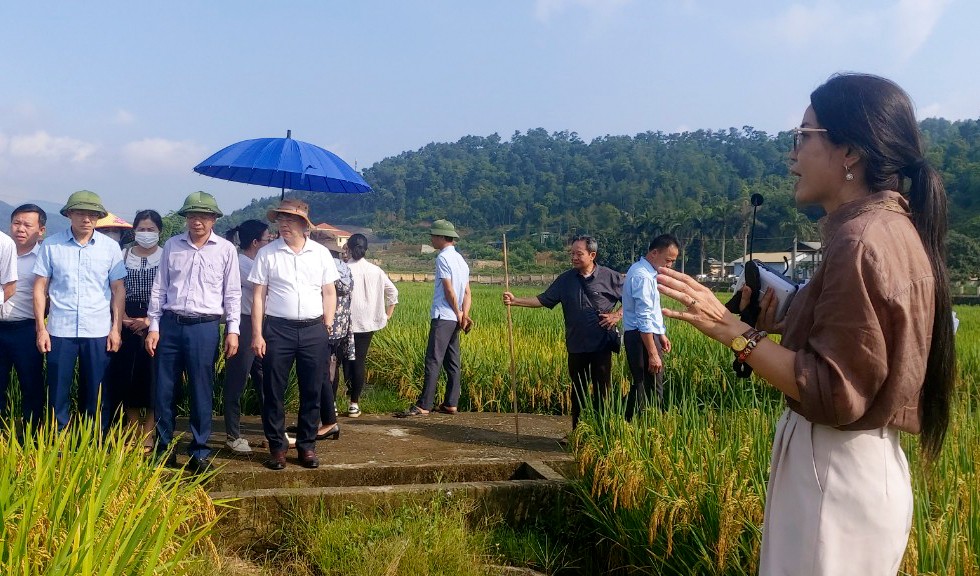 Cán bộ Trung tâm giống Lào Cai giới thiệu với khách hàng về 2 giống lúa chuẩn bị được lưu hành. z6620418262306-5a81c14000a2f03d60a32b3a8db40b35.jpg