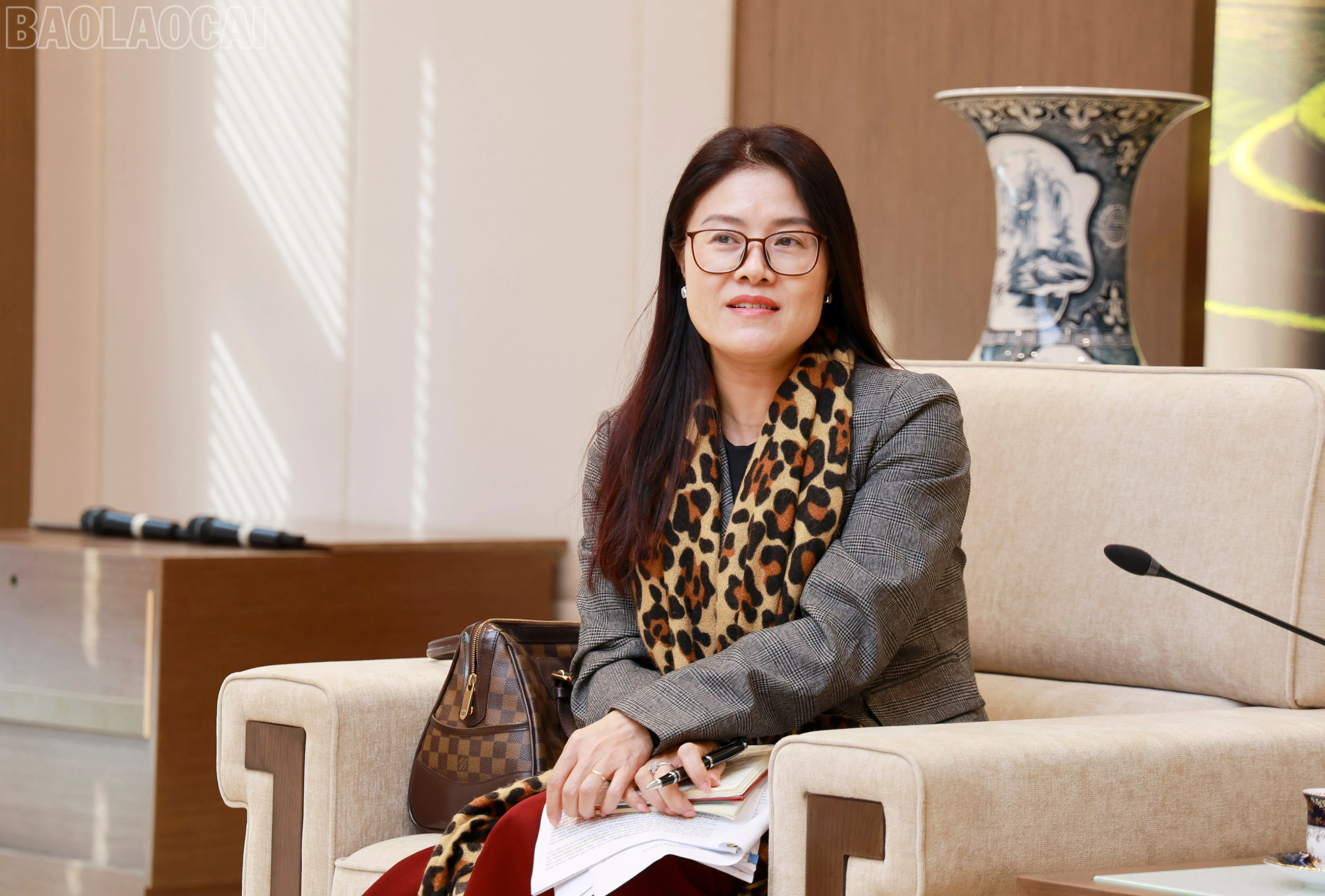 baolaocai-tl_060a9469.jpg