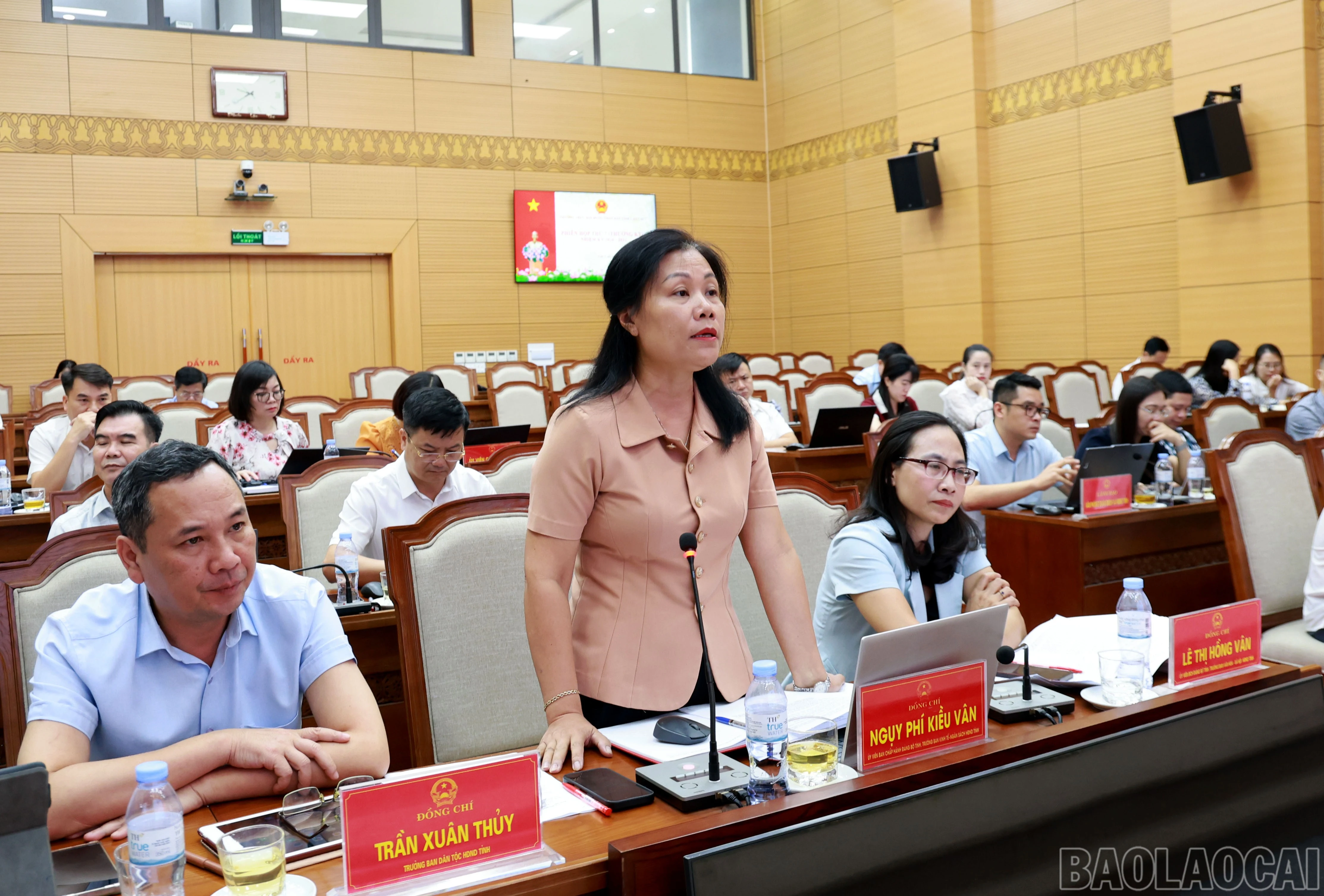 baolaocai-br_060a8704.jpg