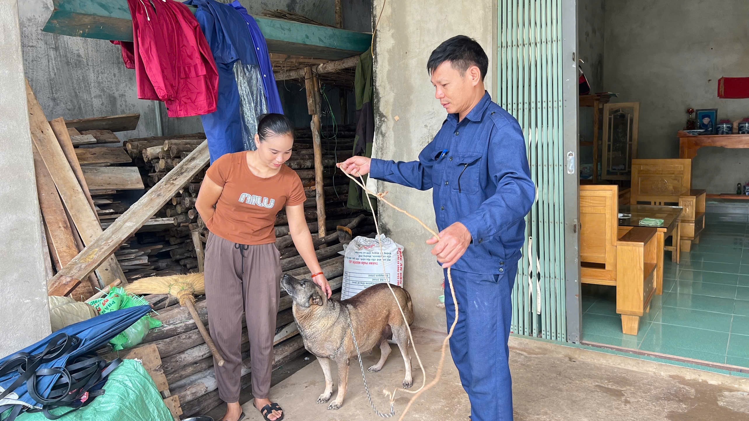 Bệnh bạch hầu ở chó: Triệu chứng, nguyên nhân và cách phòng ngừa