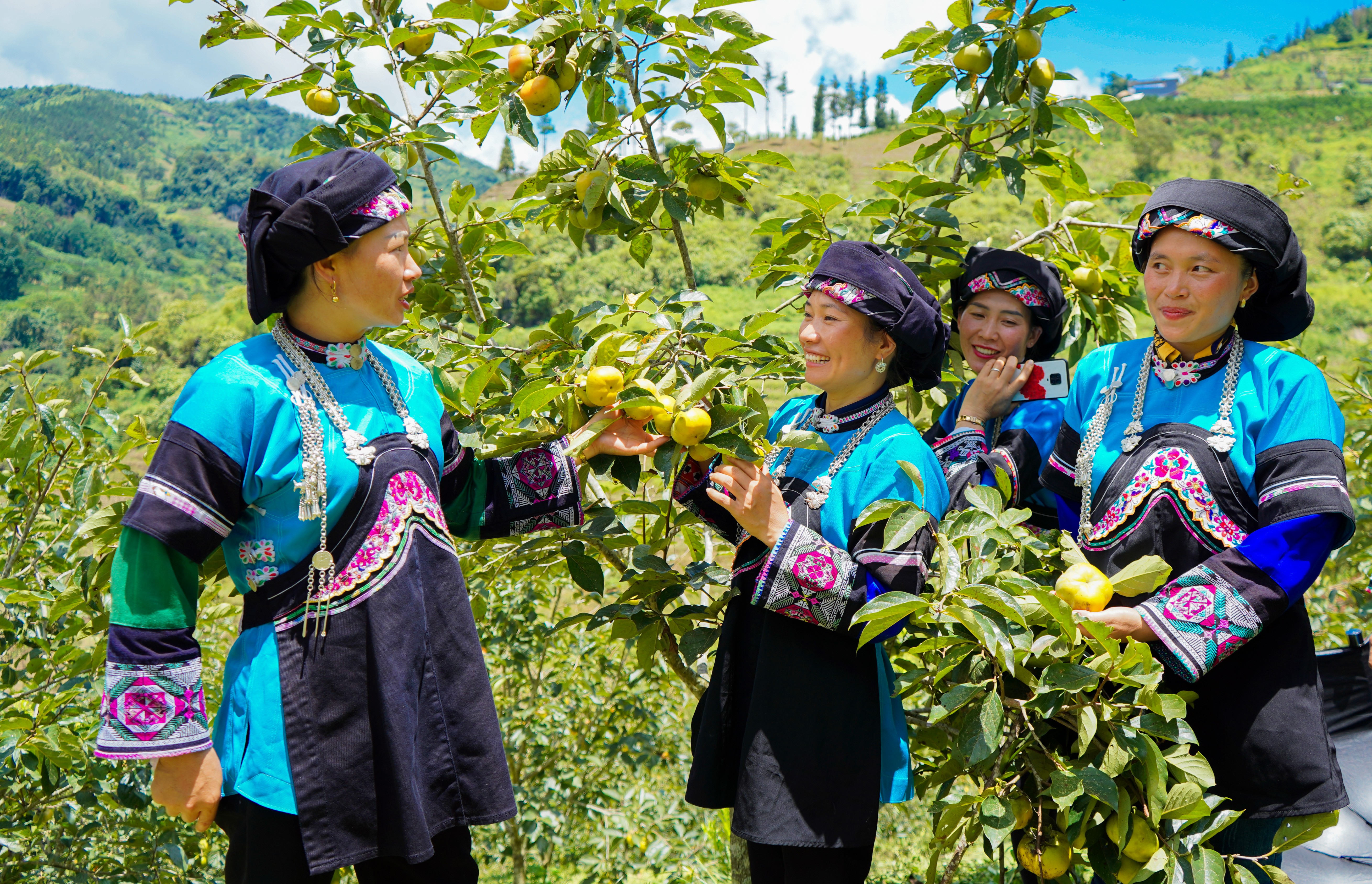 Niềm vui vụ mùa của phụ nữ Bố Y anh-5-tac-pham-no-am-ban-bo-y-lao-chai.jpg