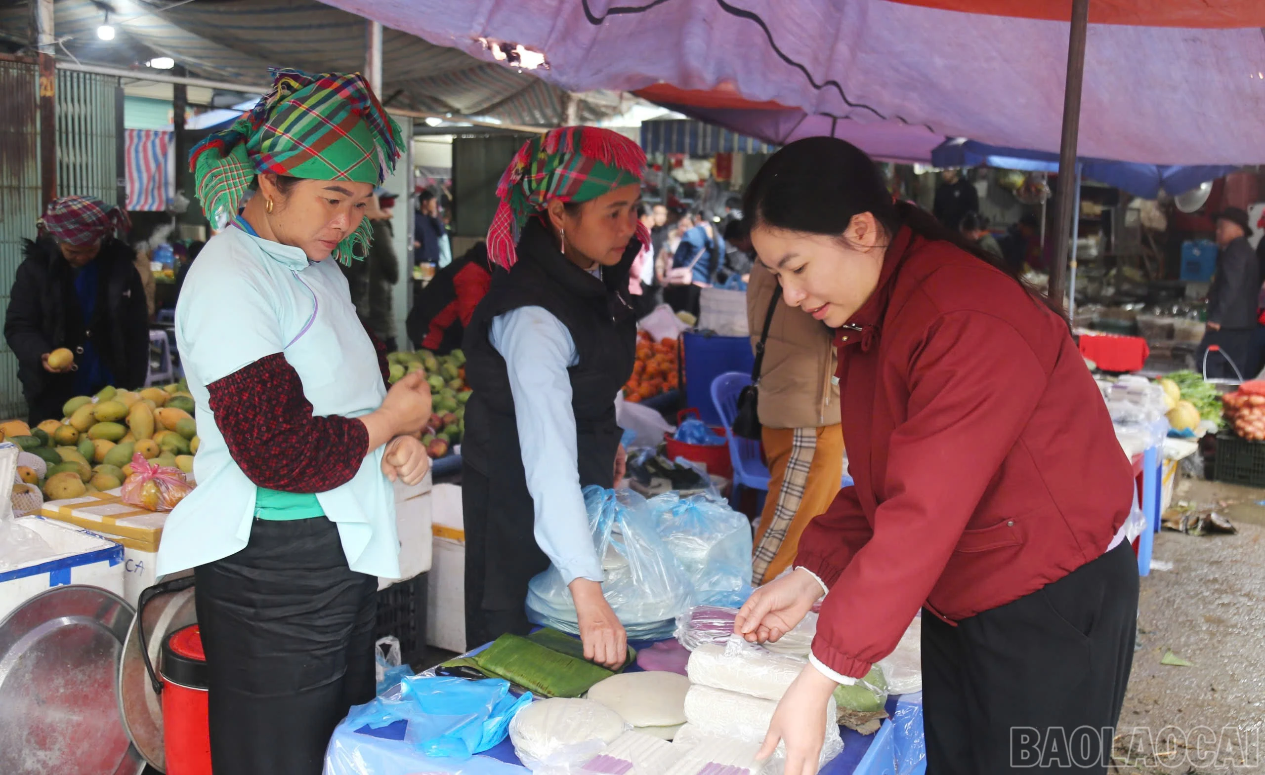 baolaocai-br_z7515401006931-af6fb19b23c4a29ee83185bfd8666c3c.jpg