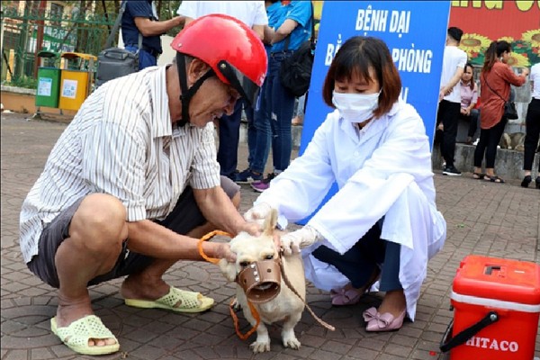 Người dân cần chủ động tiêm phòng dại cho chó, mèo để ngăn chặn lây truyền bệnh dại. mt4-615.jpg