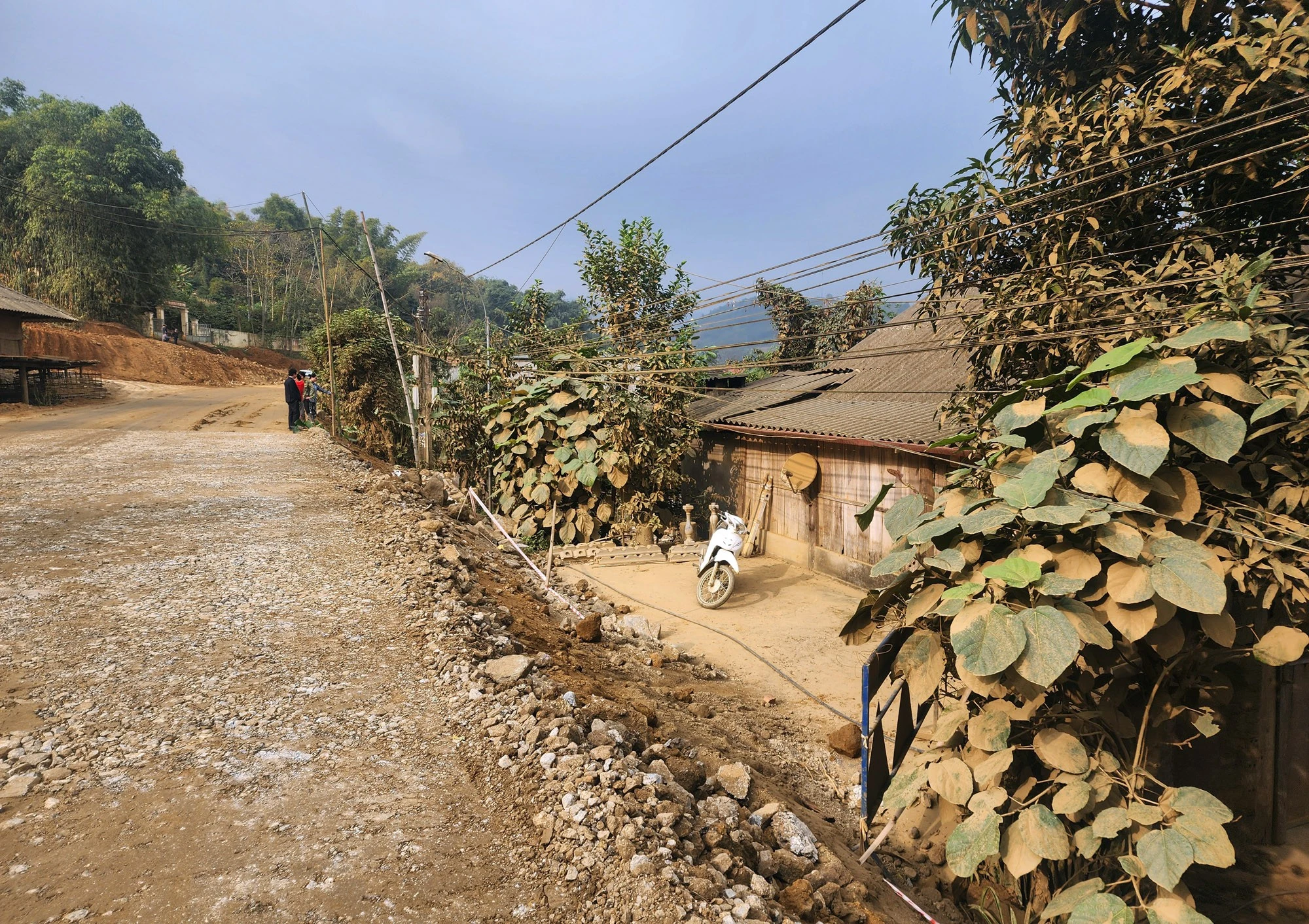 duong-quy-2a.jpg