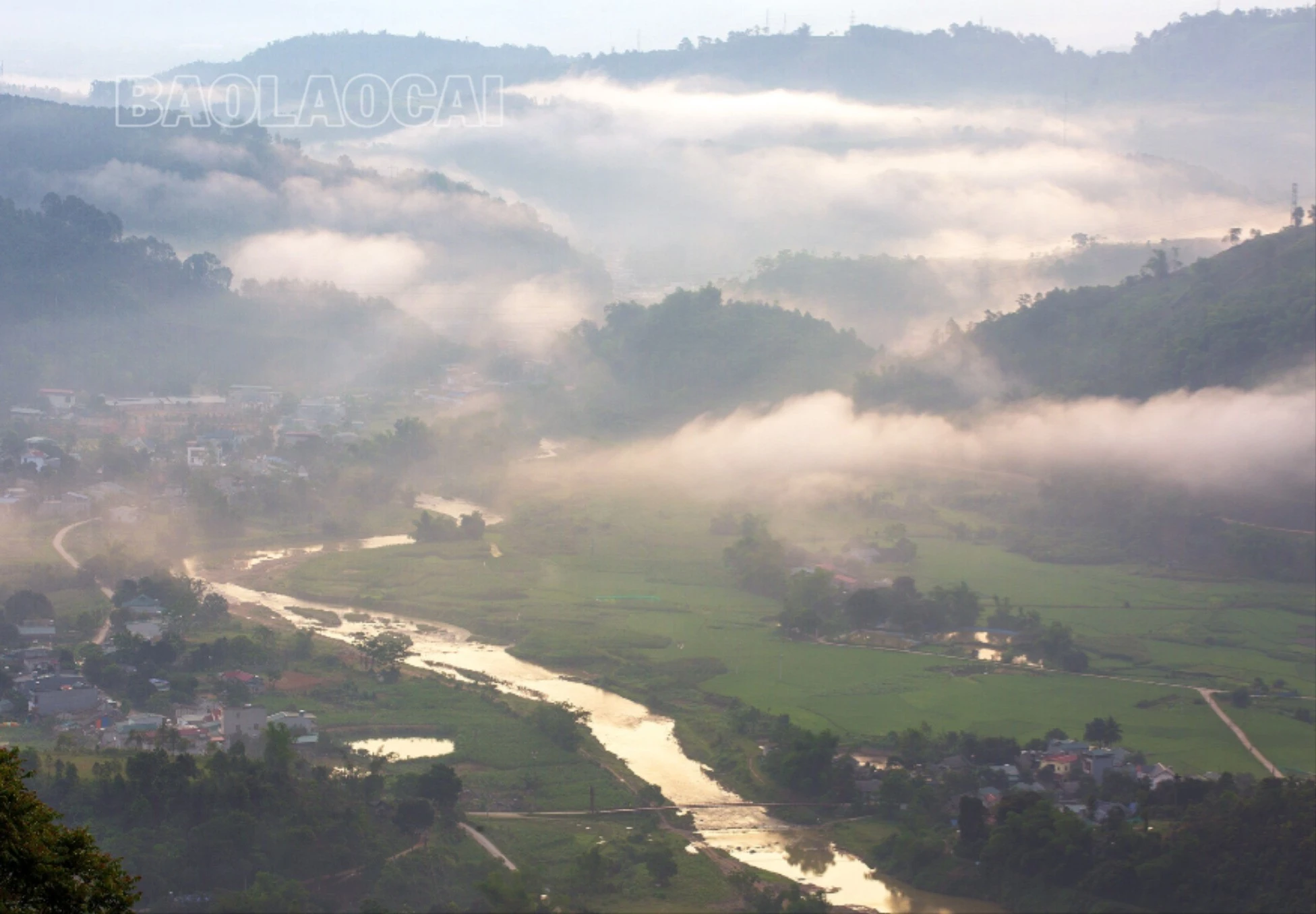 p1010366-6784.jpg