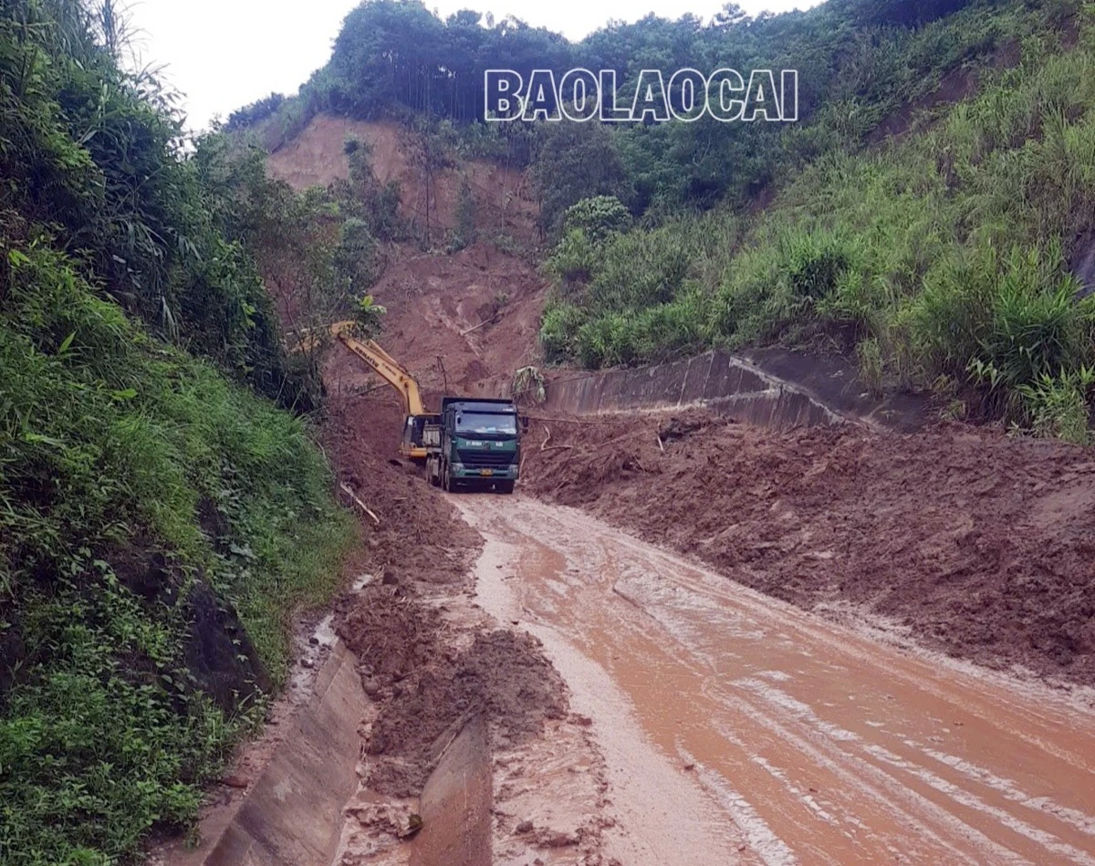 B111.jpg
