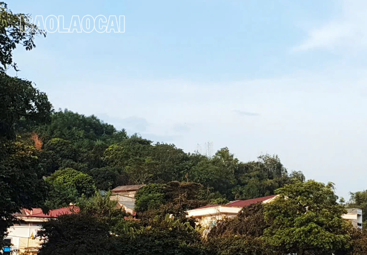 N1.jpg