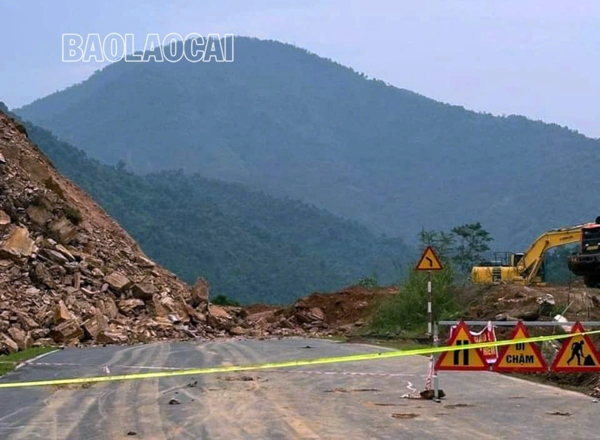 tl111.jpg
