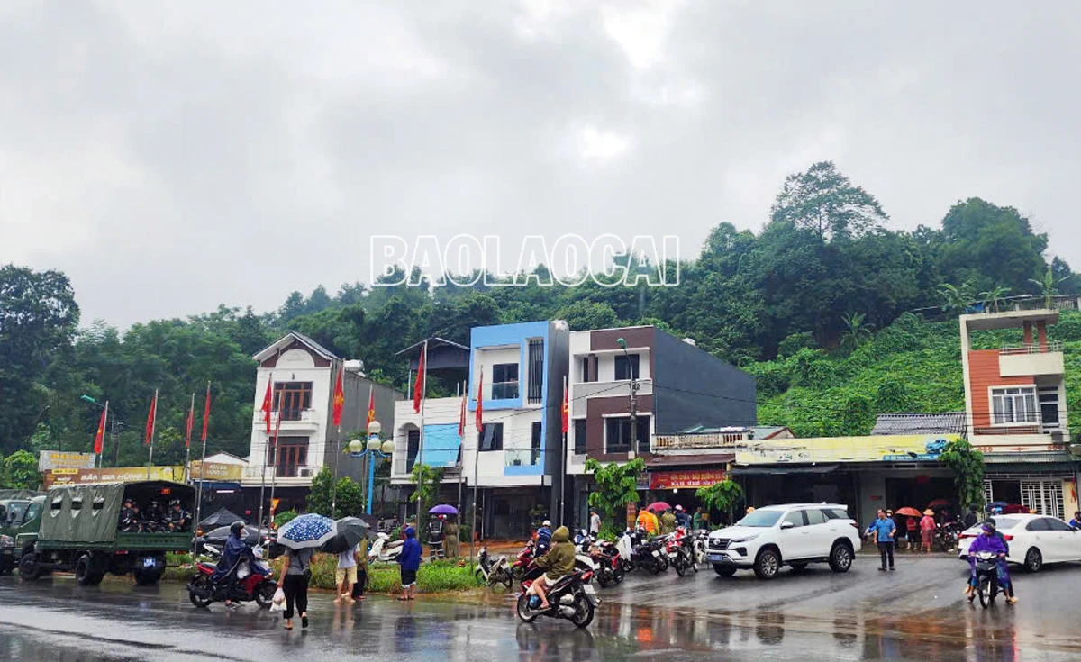 N1.jpg