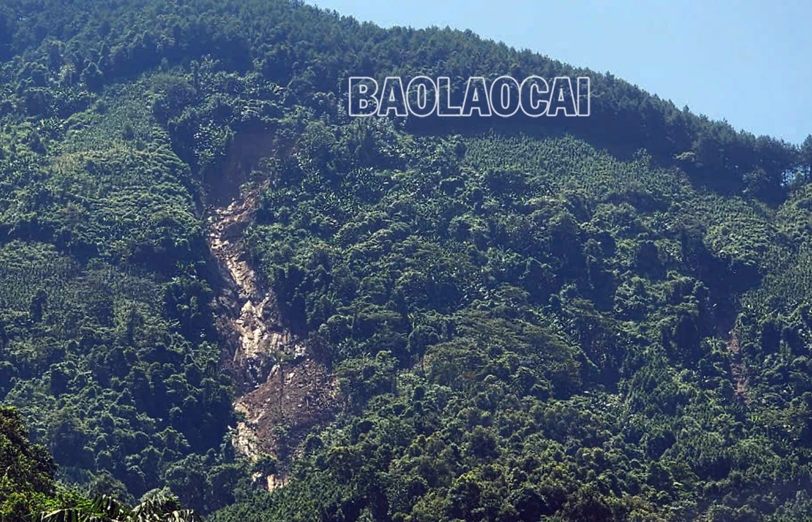 N2.jpg
