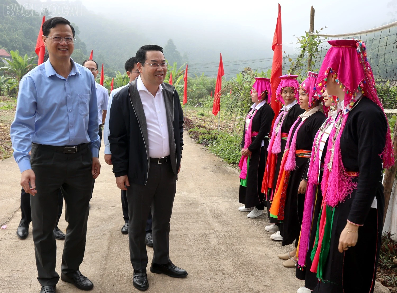 baolaocai-tl_ph6.jpg