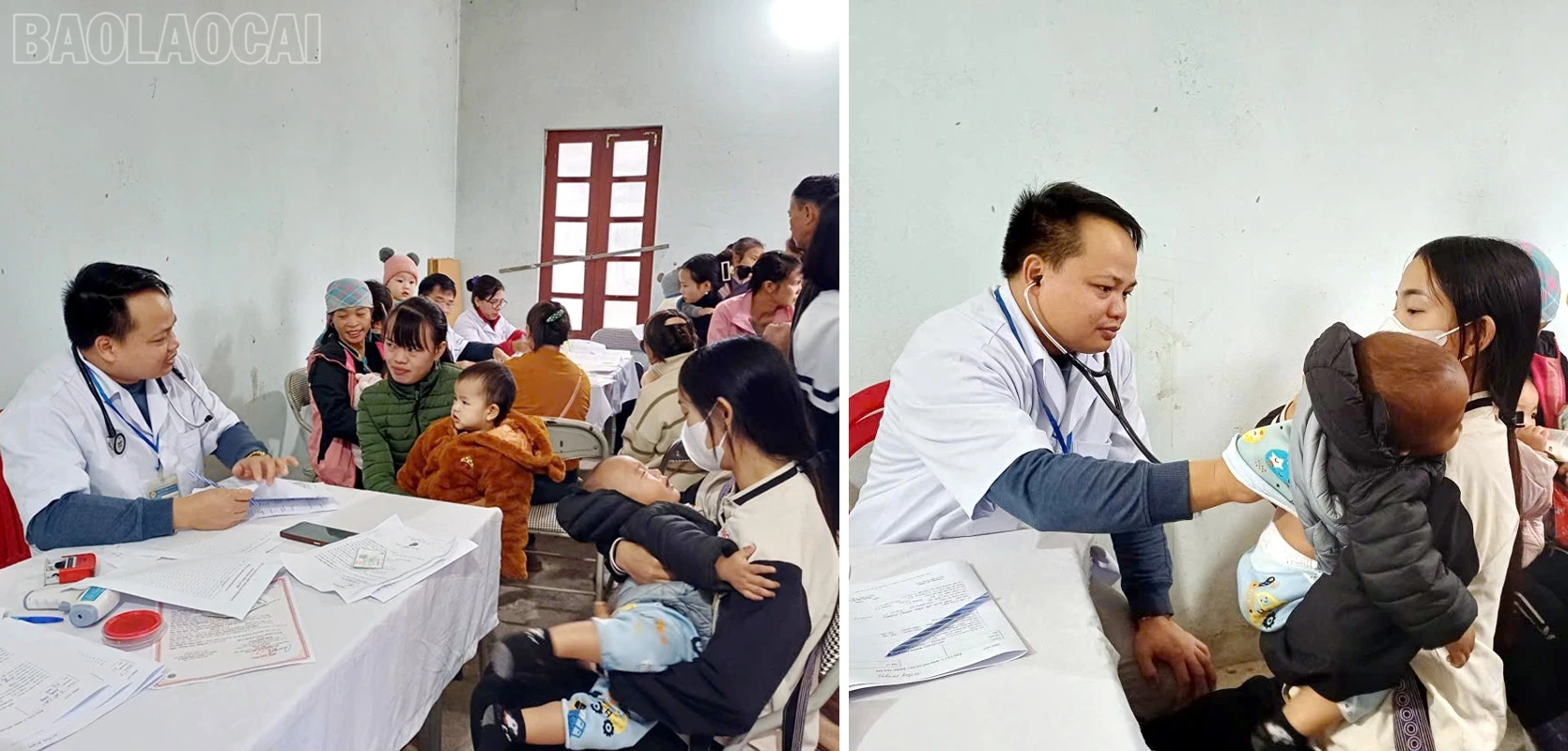 baolaocai-tl_yt7.jpg