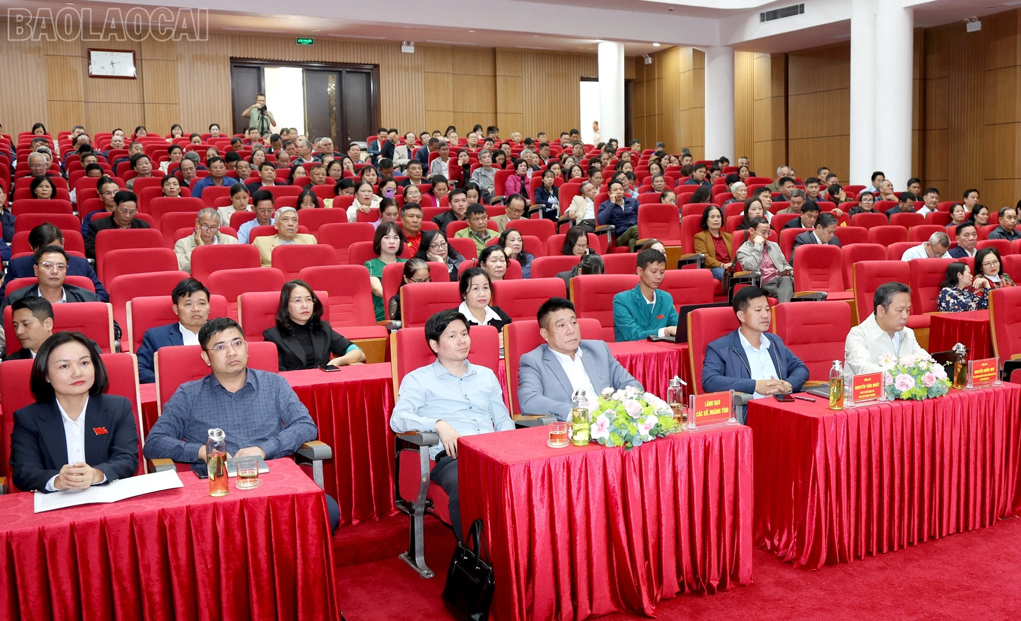 baolaocai-tl_lc7.jpg