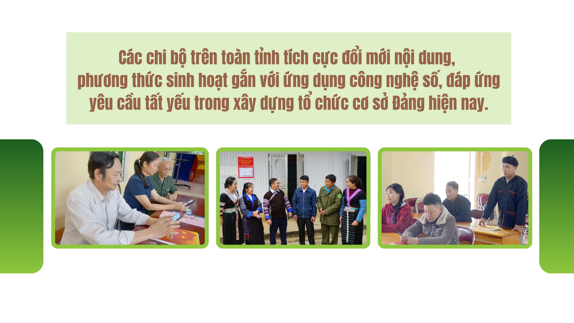 baolaocai-tr_3-3939.png