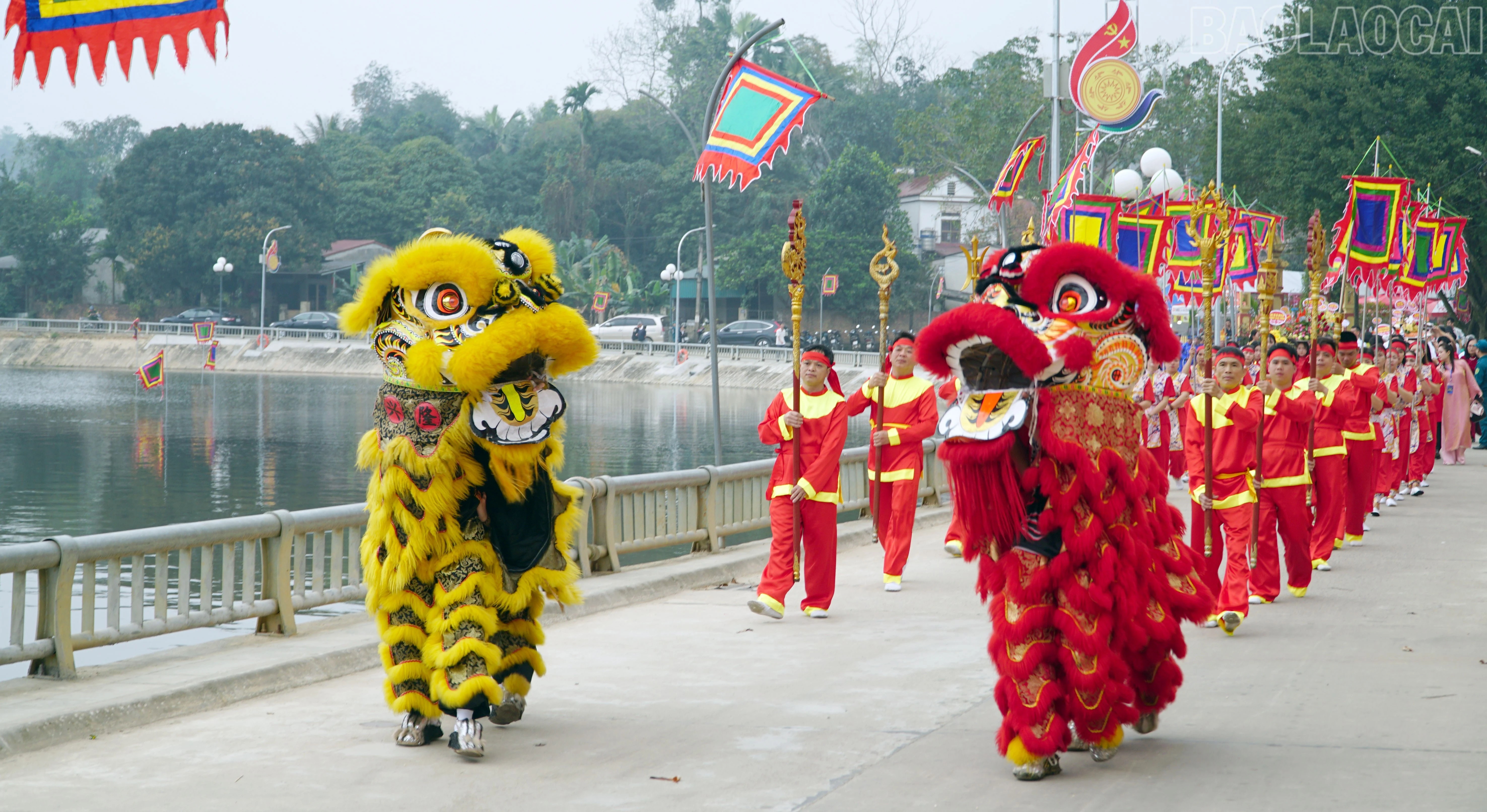 baolaocai-tr_11.jpg