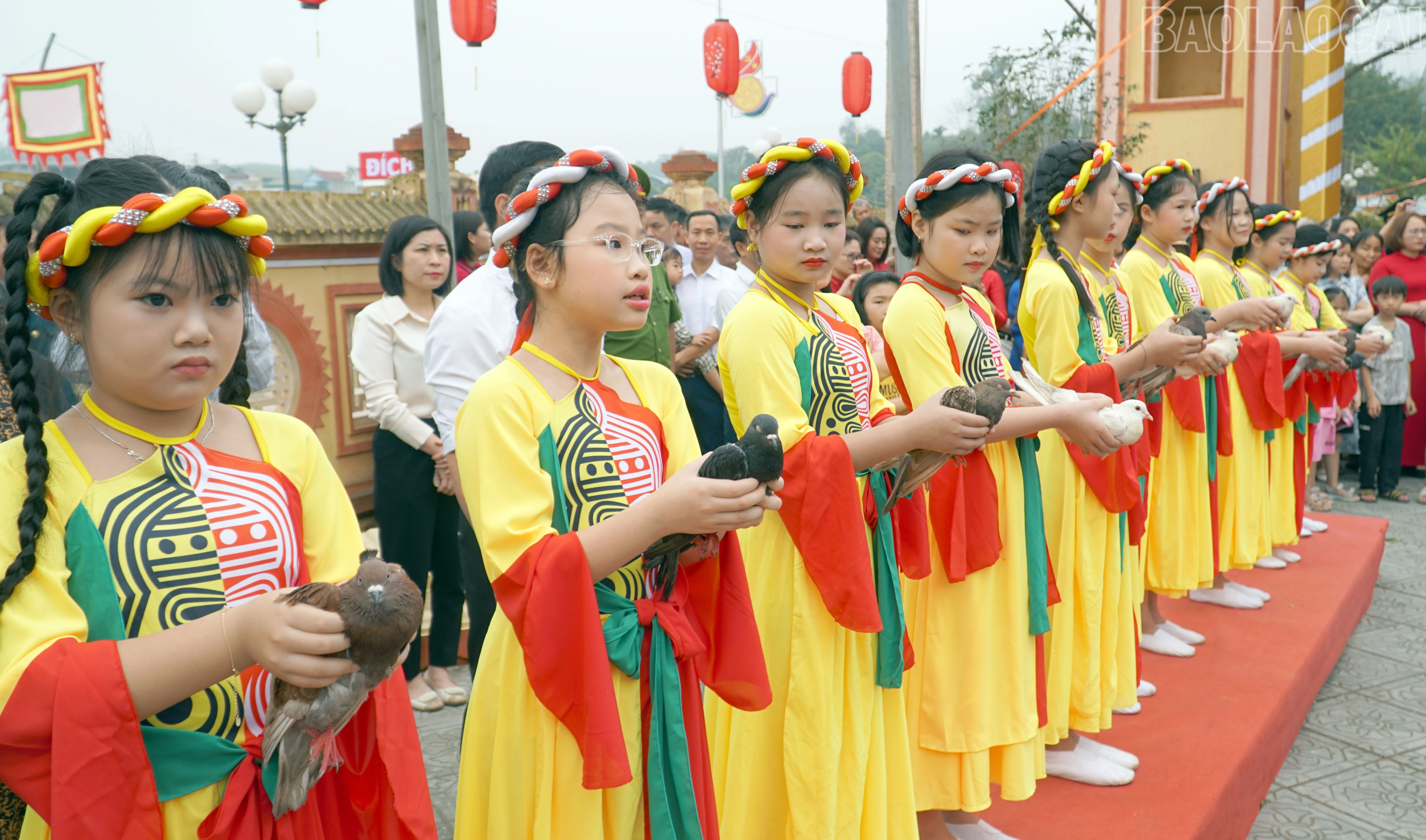 baolaocai-tr_9.jpg