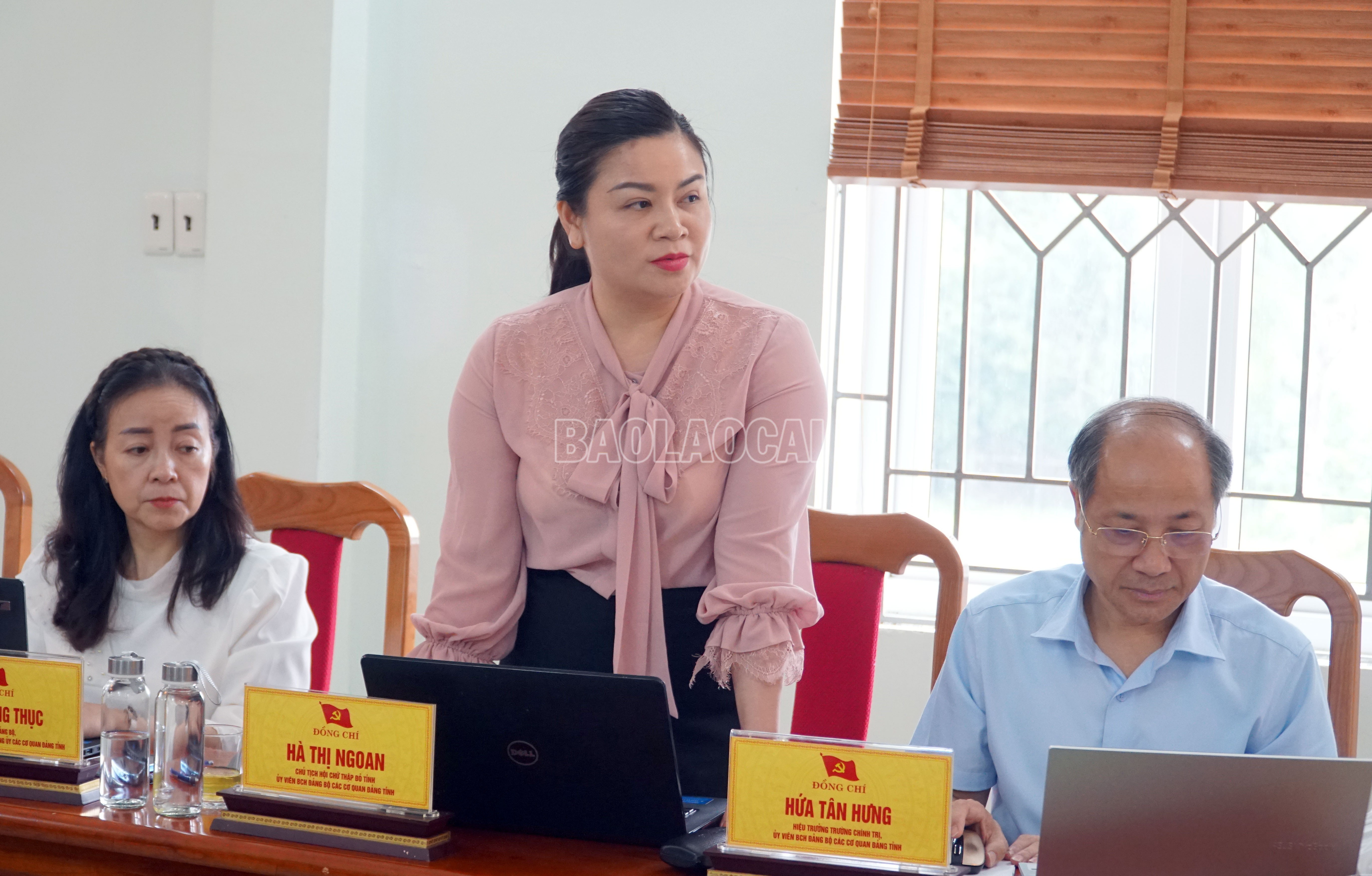 Đồng chí Hà Thị Ngoan, Chủ tịch Hội Chữ thập đỏ tỉnh tham gia ý kiến tại Hội nghị. baolaocai-c_247-anh-2.jpg