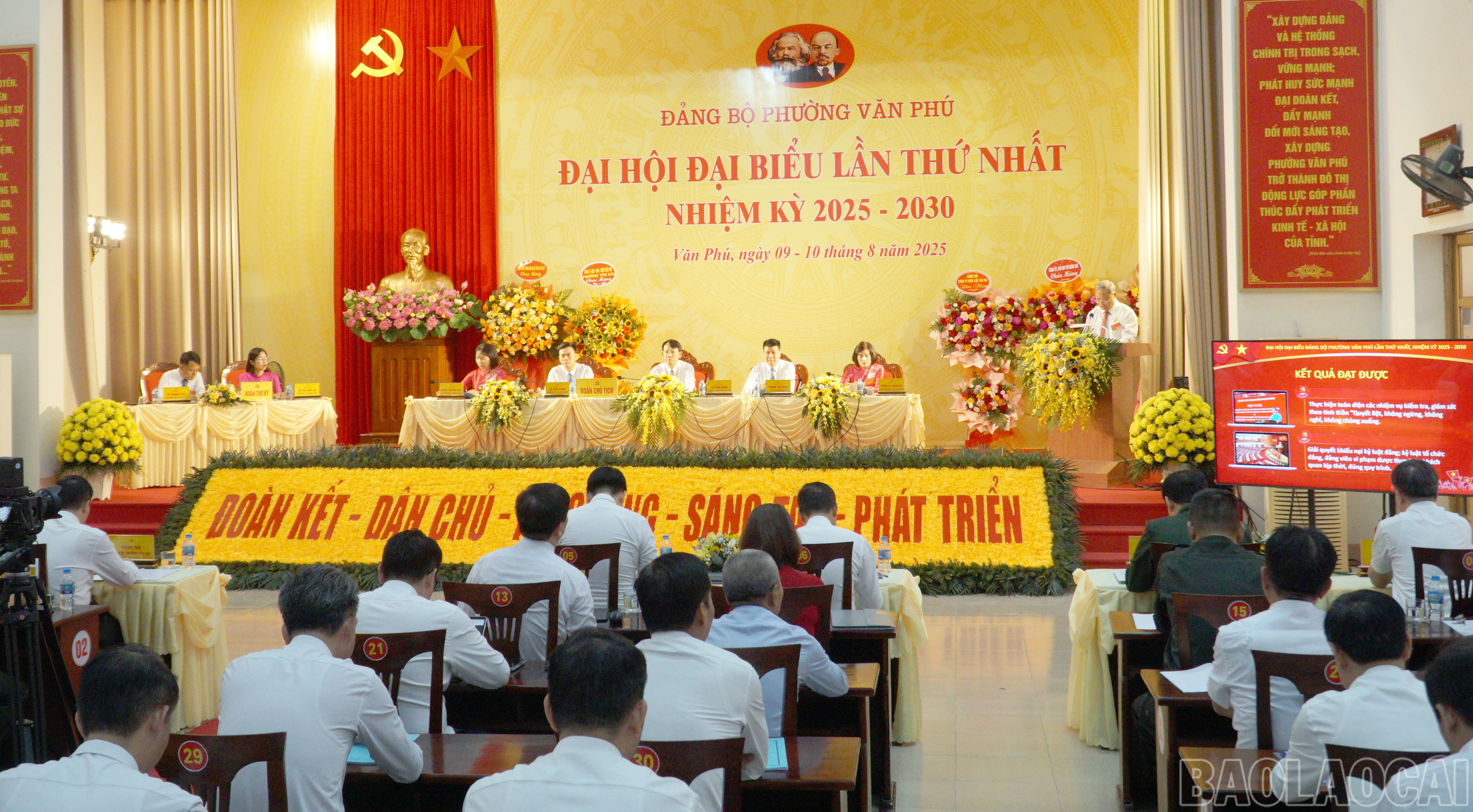 baolaocai-br_dh-10.jpg