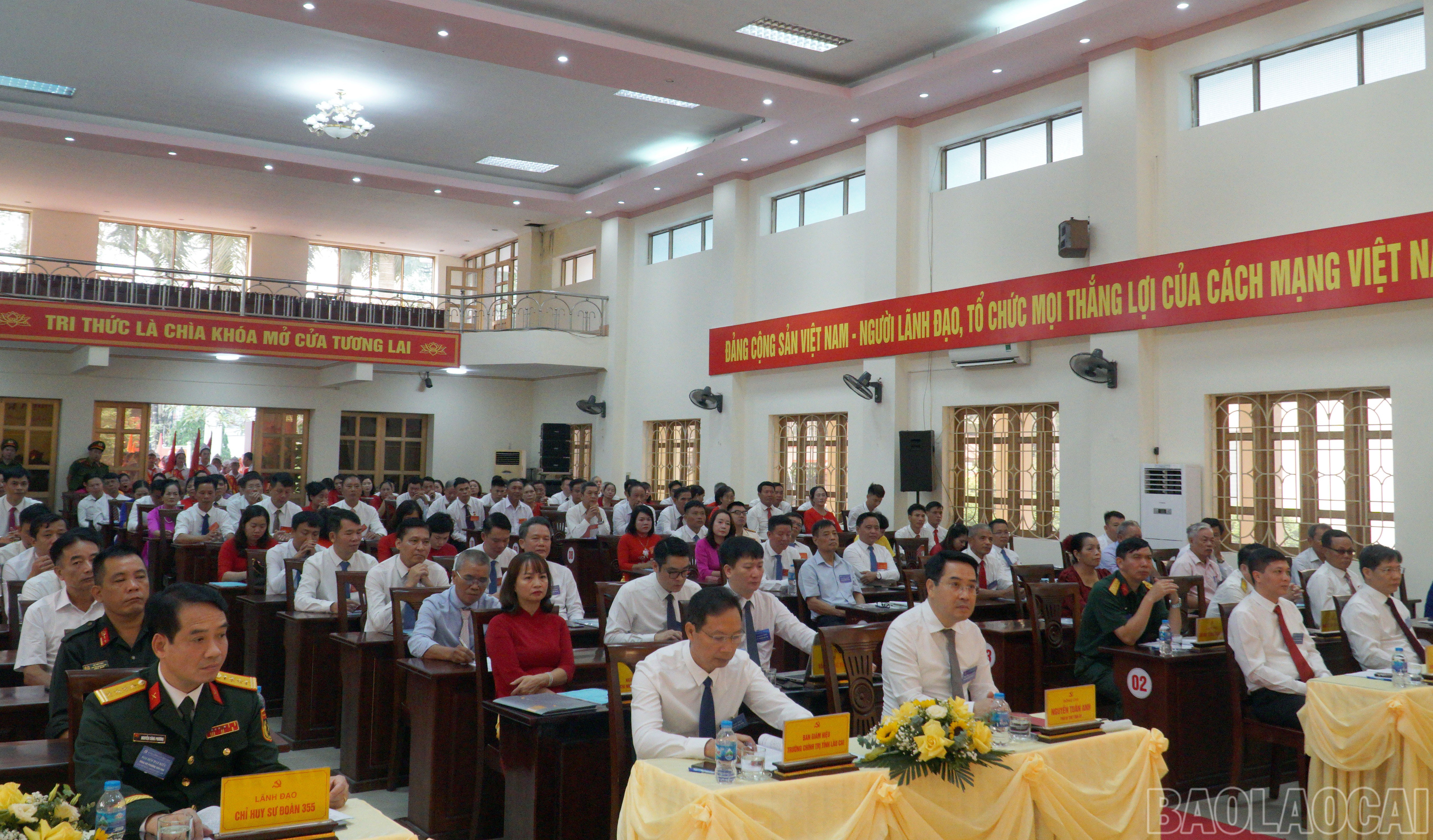 baolaocai-br_dh-5.jpg
