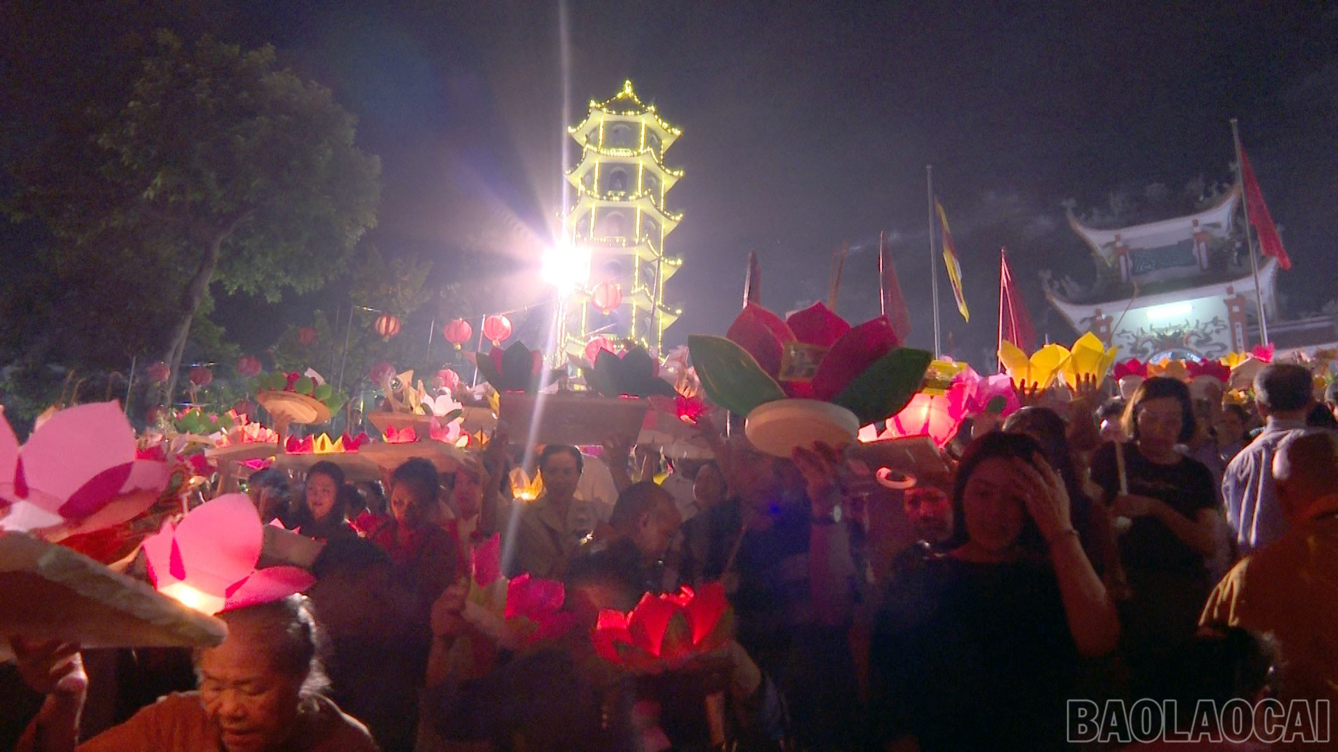 baolaocai-br_anh-3.jpg
