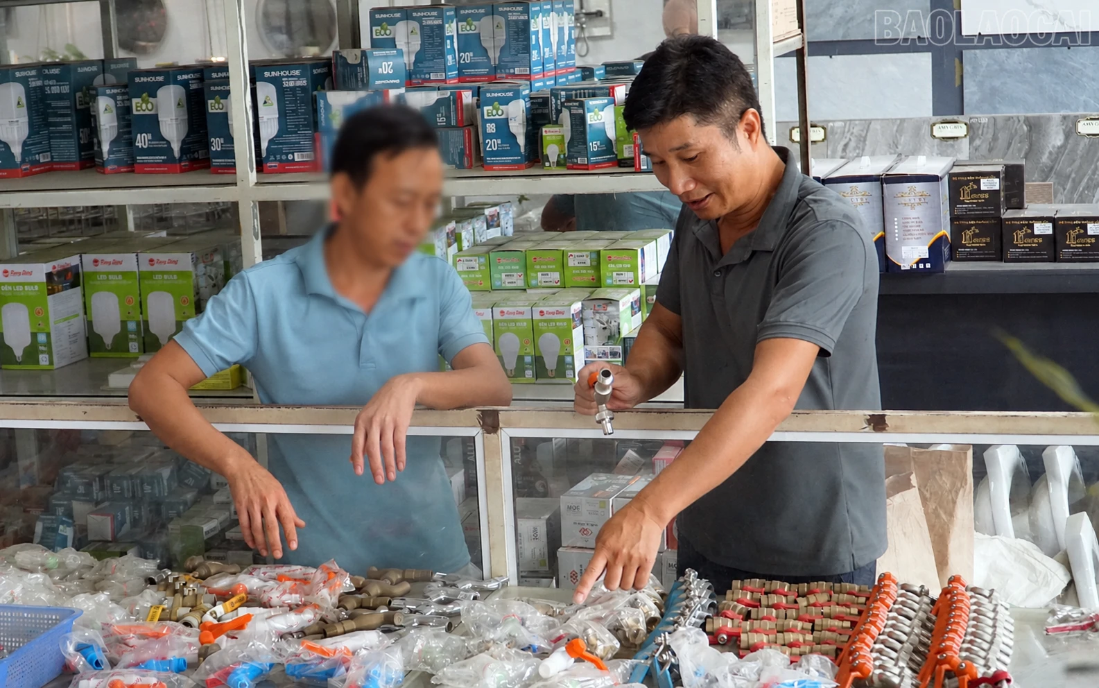 baolaocai-tr_chatgpt-image-18-19-32-9-thg-8-2026.png