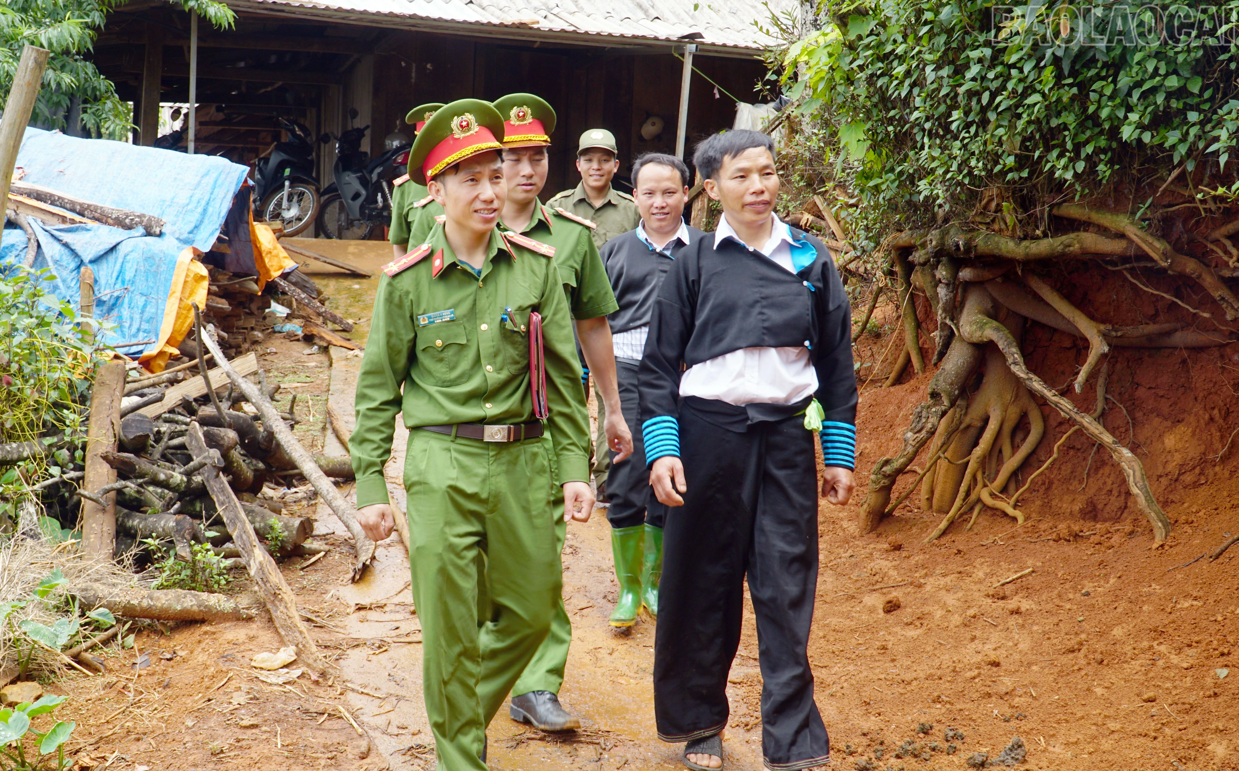 baolaocai-tr_12.jpg