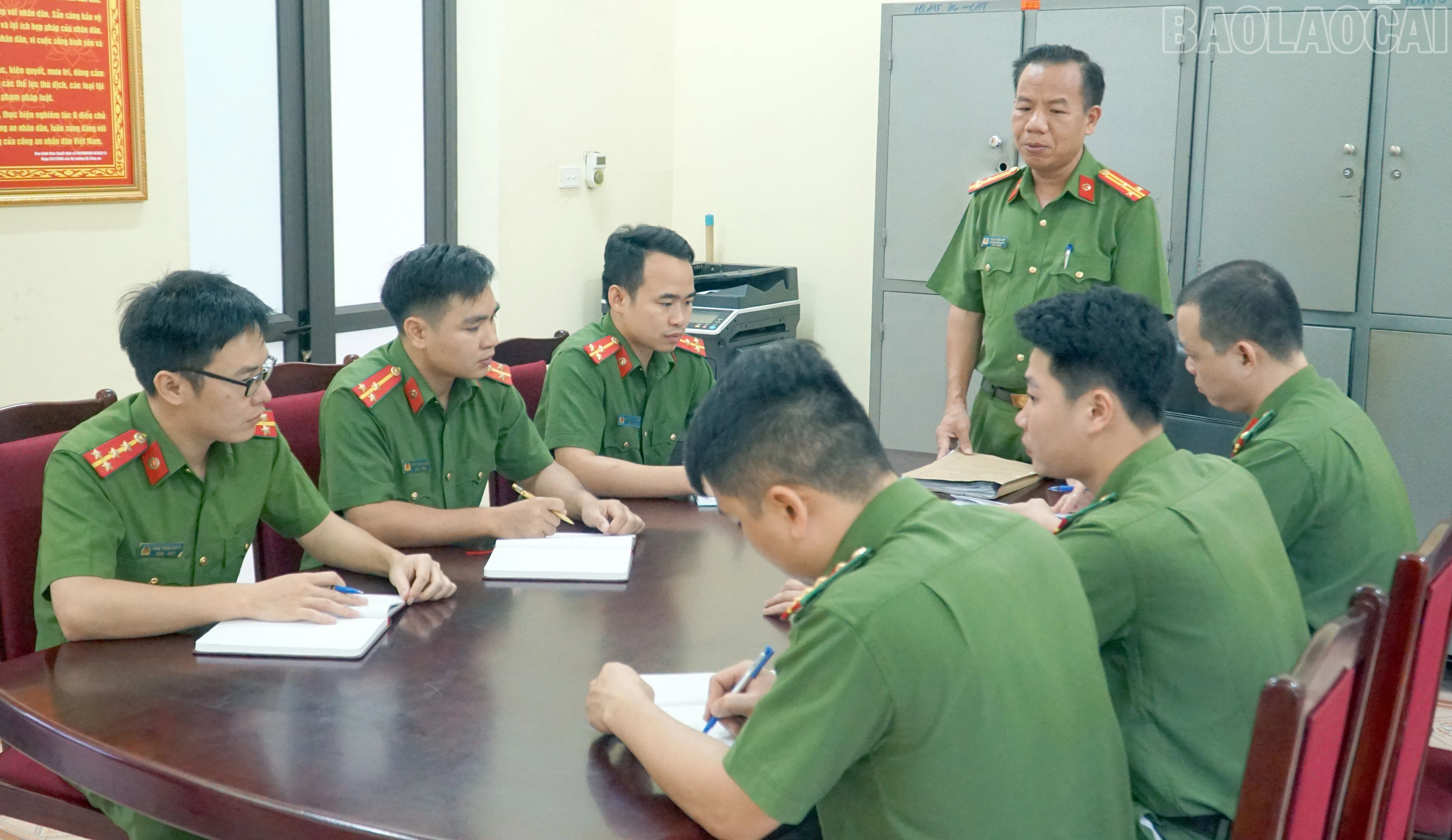 baolaocai-tr_8.jpg