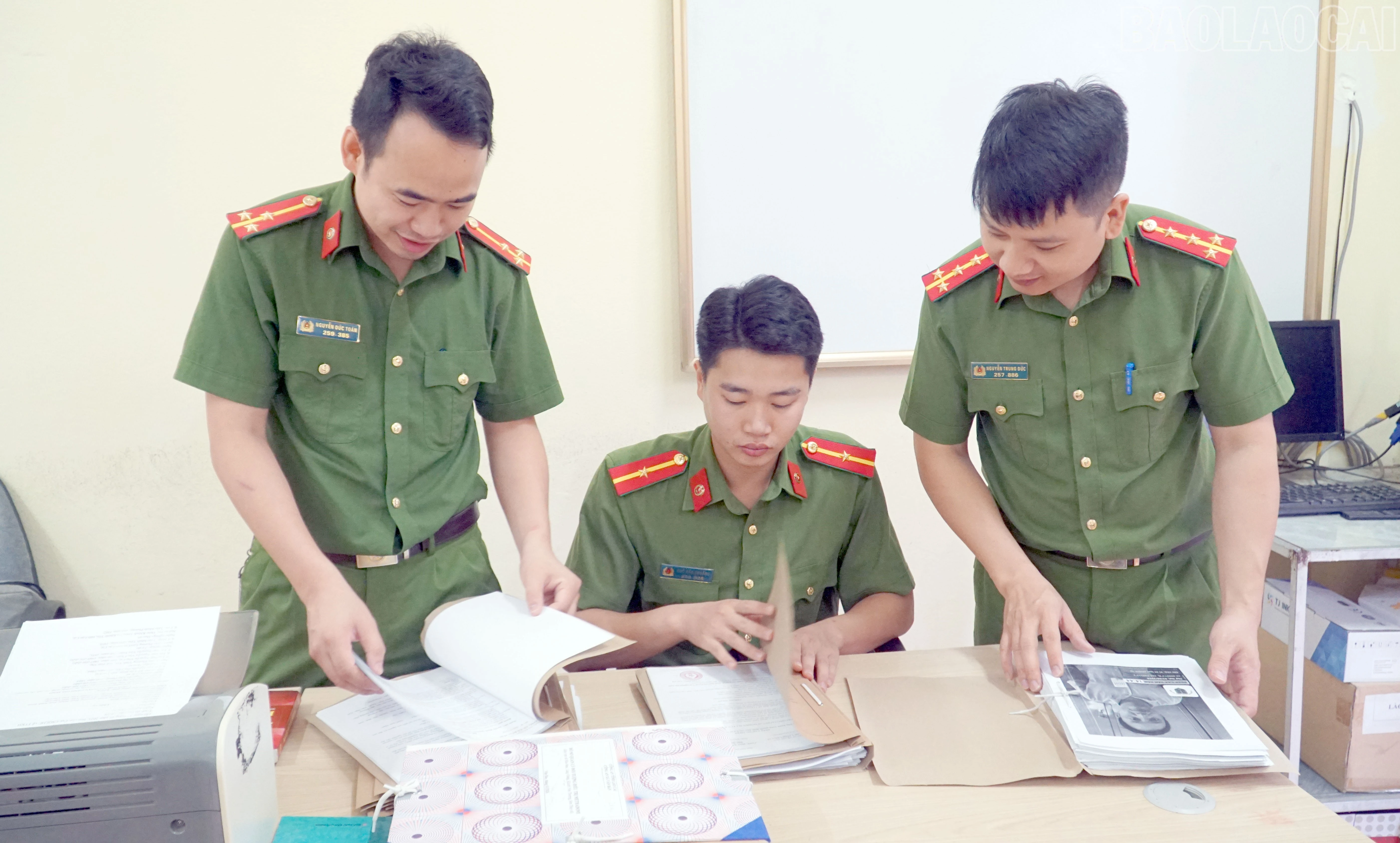 baolaocai-tr_7.jpg
