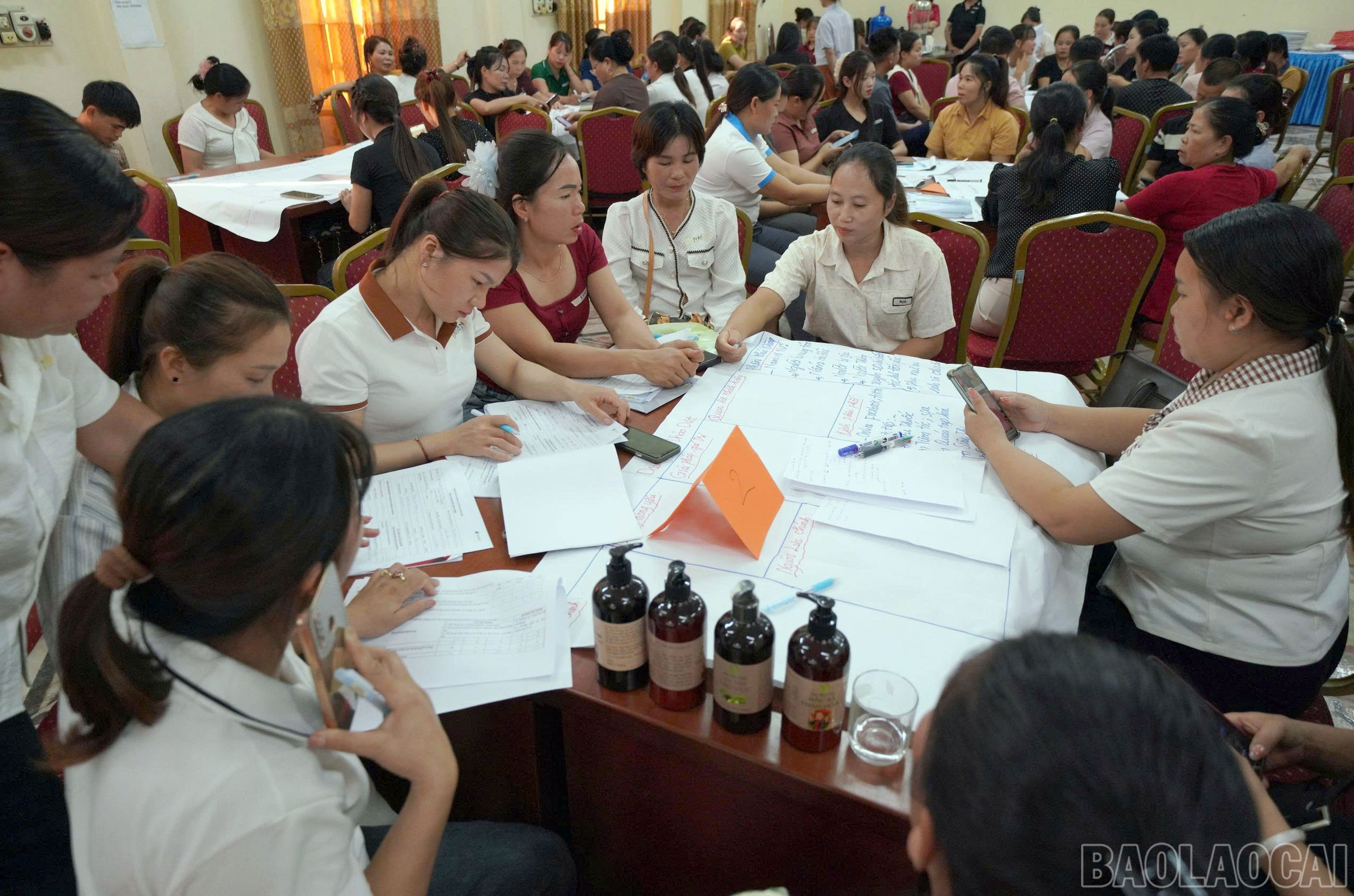 Owners of micro, small and medium enterprises and production groups participating in the SPRINT Project are trained in skills to access, identify quality information and market networks, and apply digital technology to operational management. baolaocai-br_thao-luan.jpg