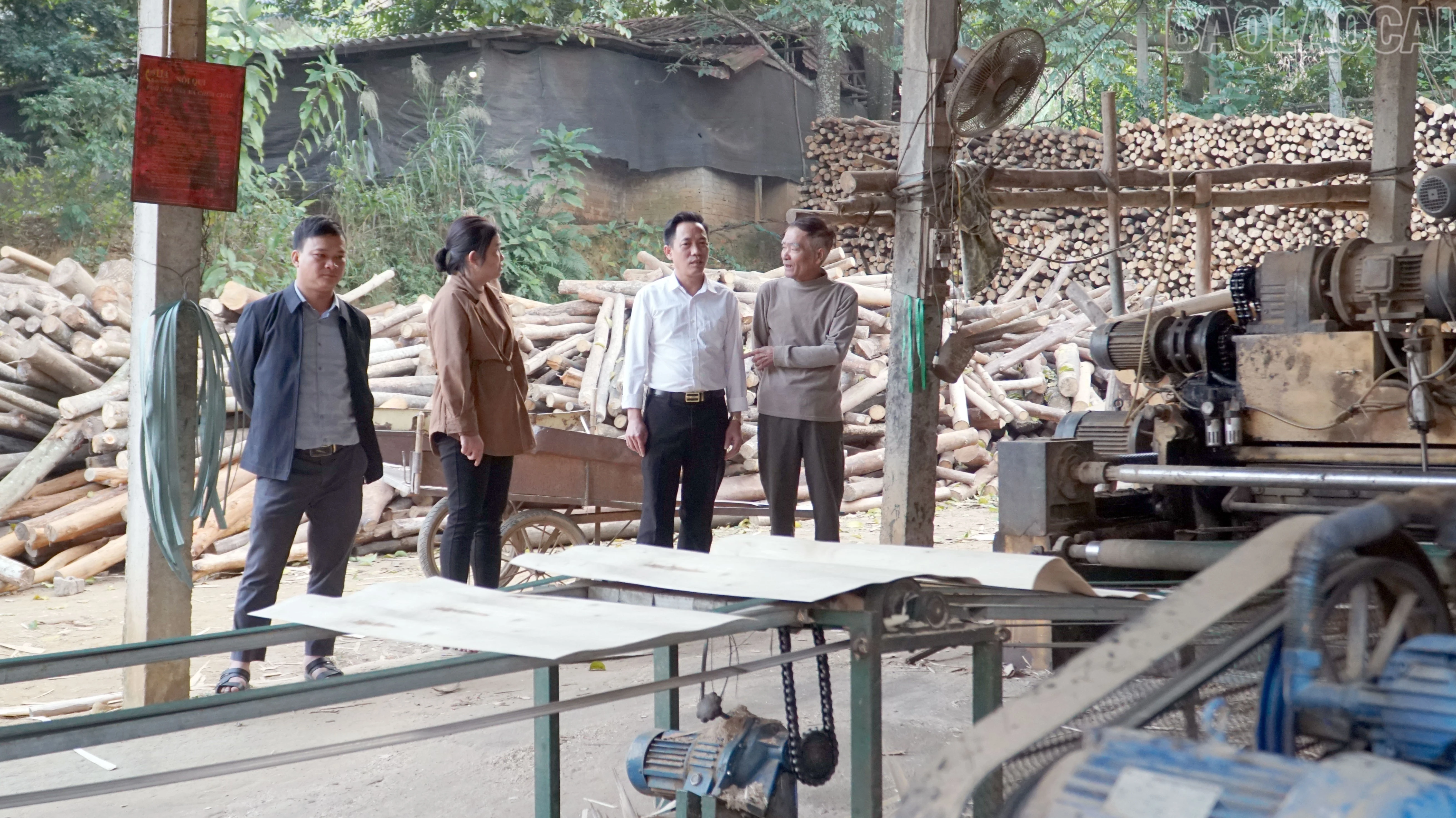 baolaocai-tr_2-8340.jpg
