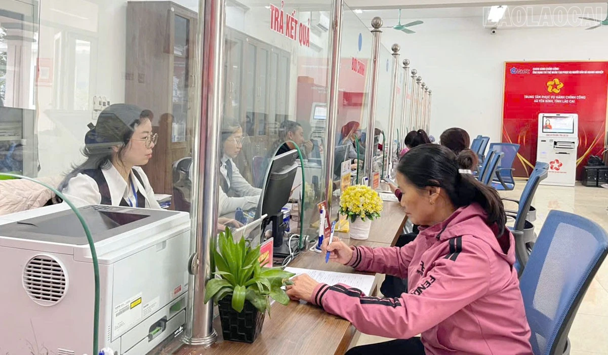 baolaocai-tr_7.jpg