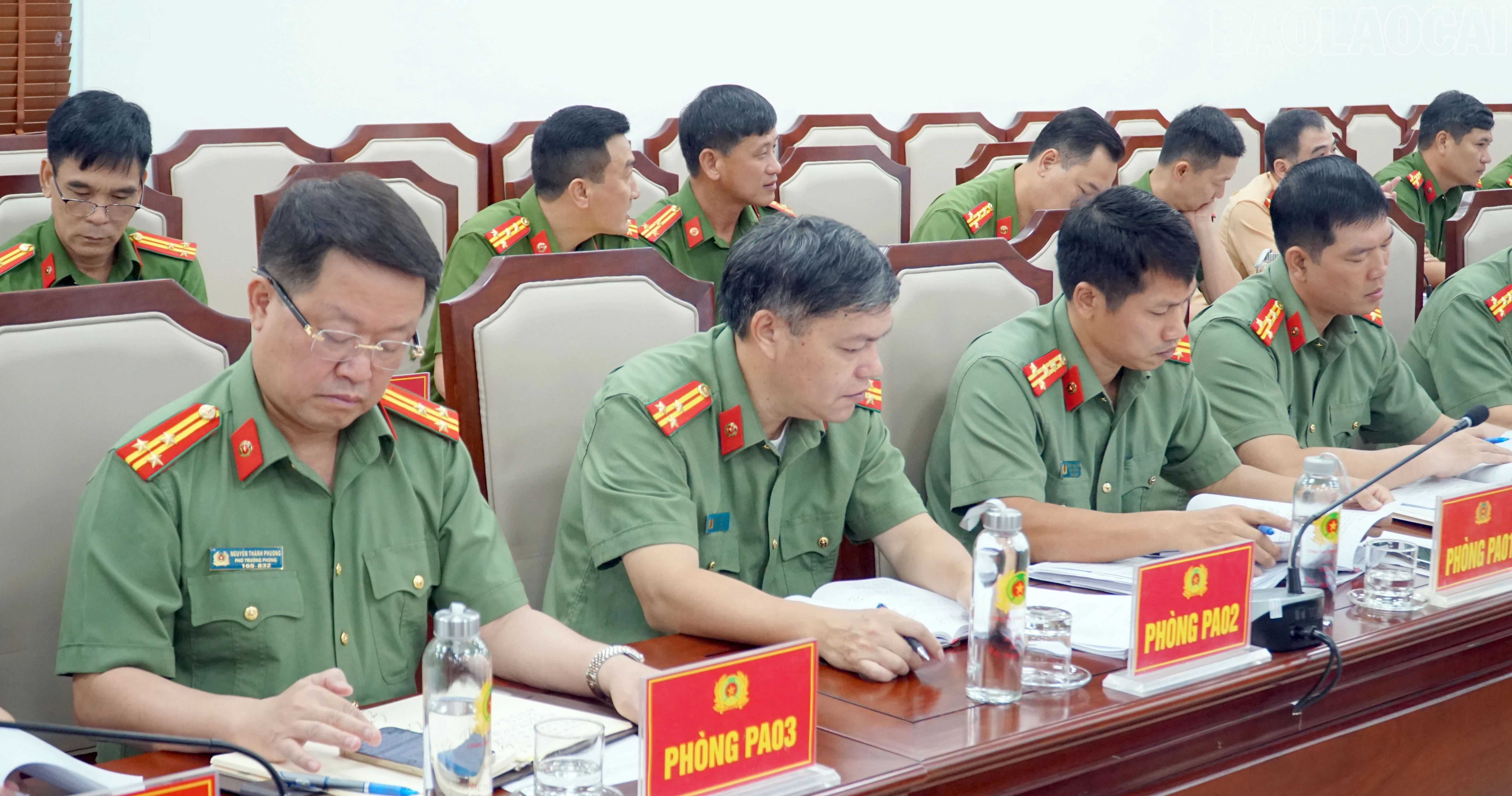 baolaocai-tr_8.jpg