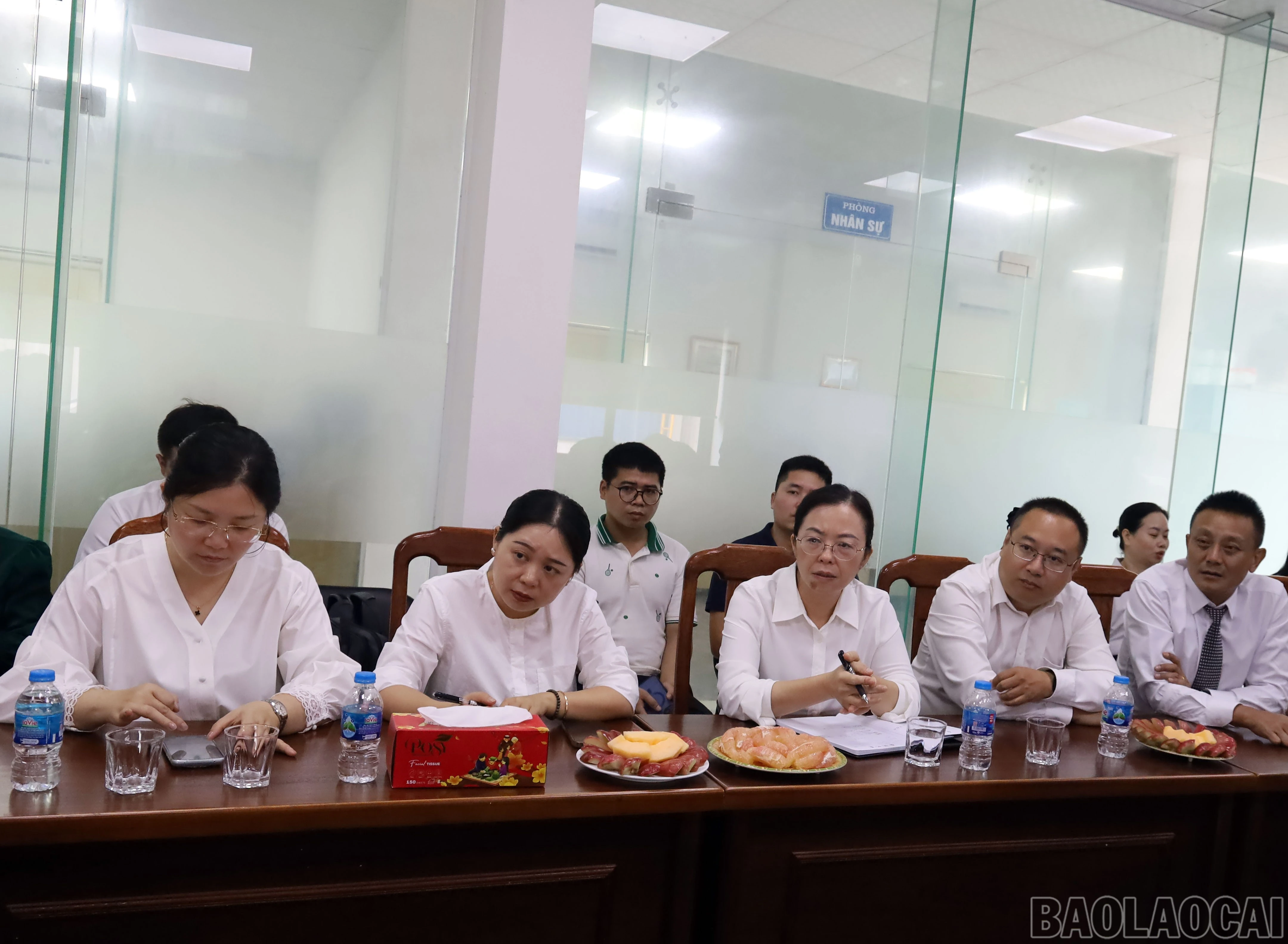 baolaocai-br_177-anh-6.jpg