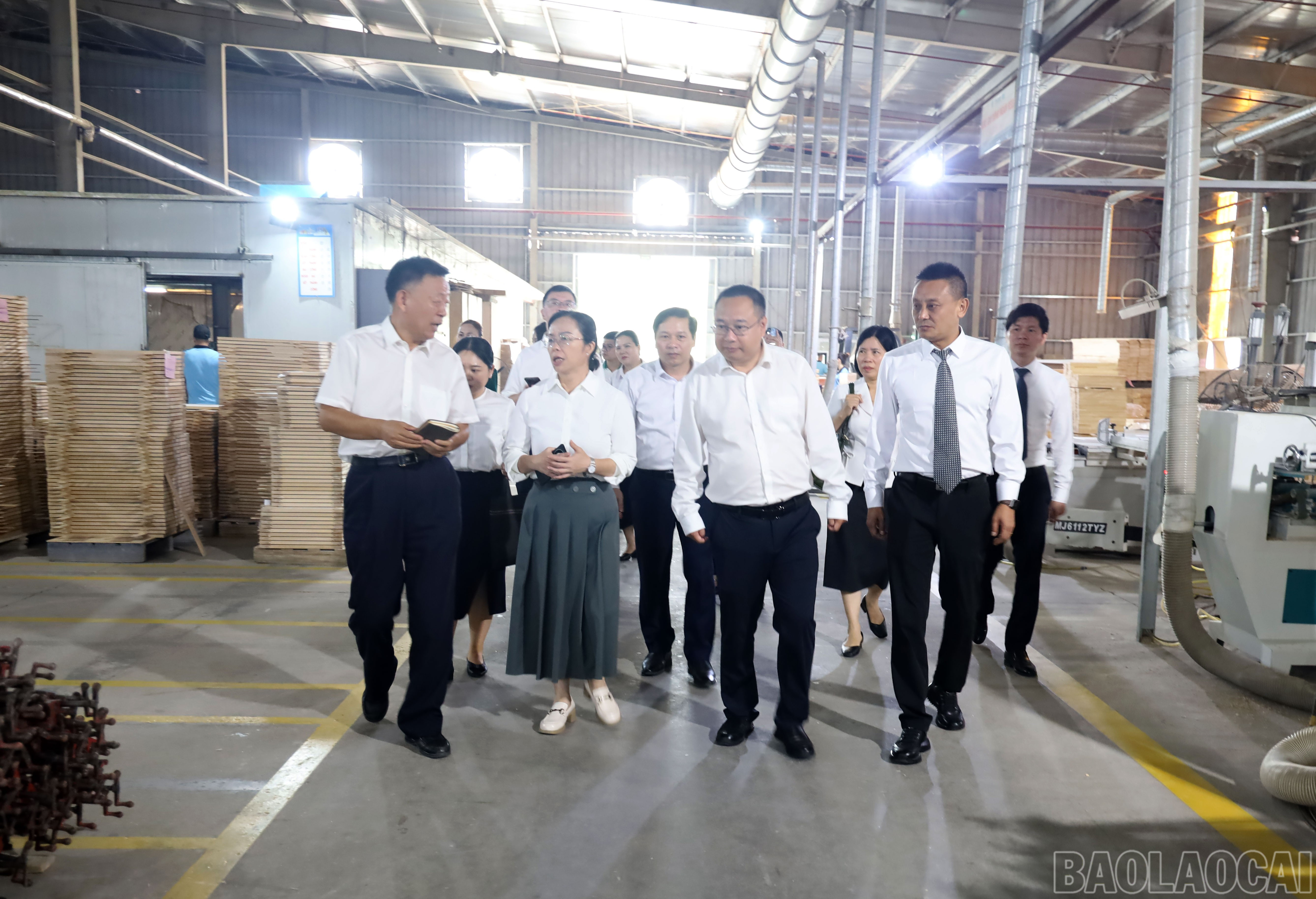 baolaocai-br_177-anh-8.jpg
