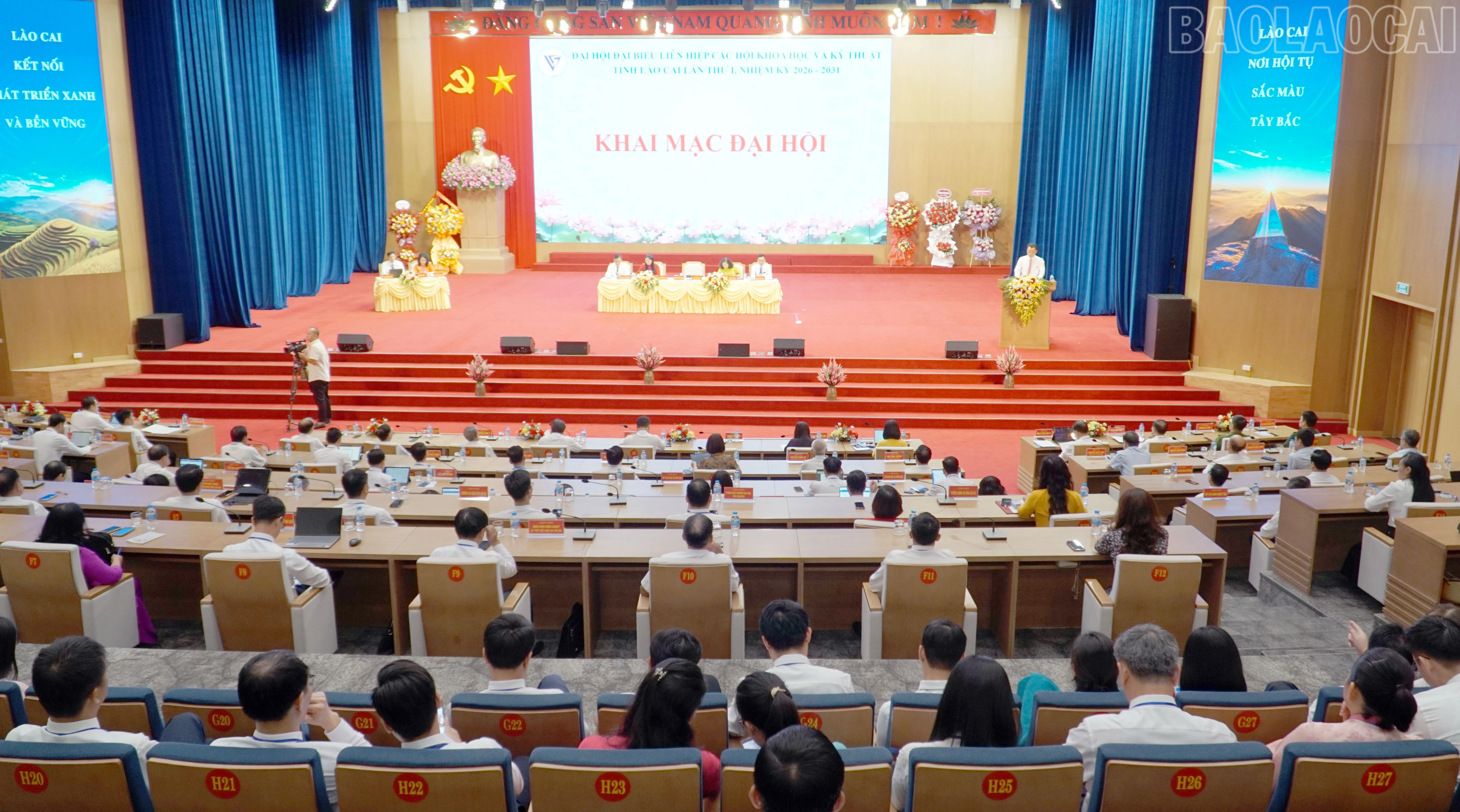 baolaocai-tr_16.jpg