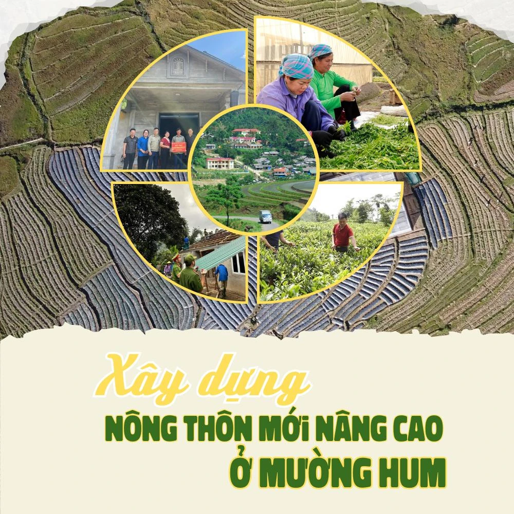 muonghum.png
