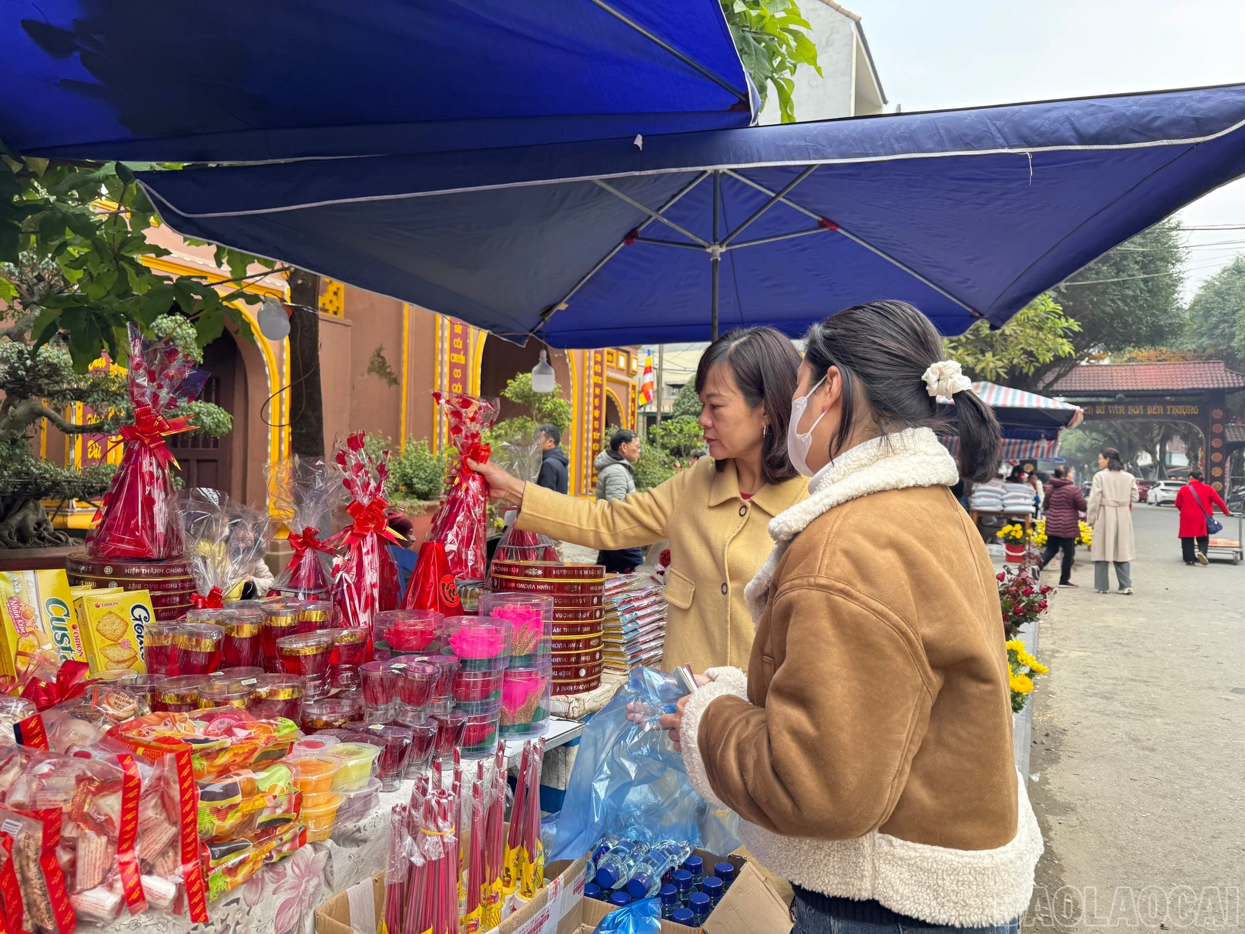 baolaocai-br_z6272162130265-2121e04dc32735852ba6eb9a04a46017.jpg