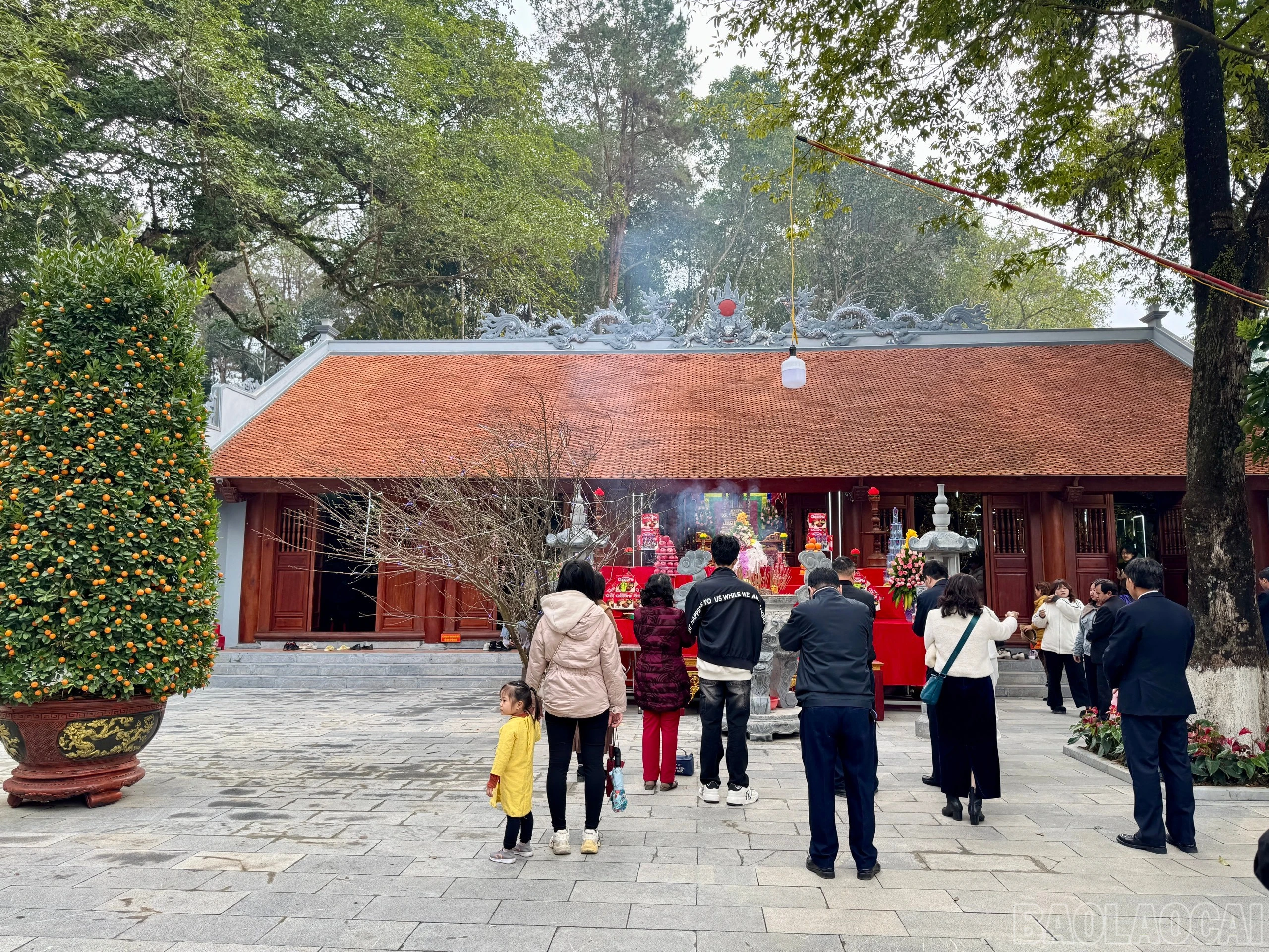 baolaocai-br_z6272162393236-327de766547e19baf575918eaffa8ccb-1.jpg