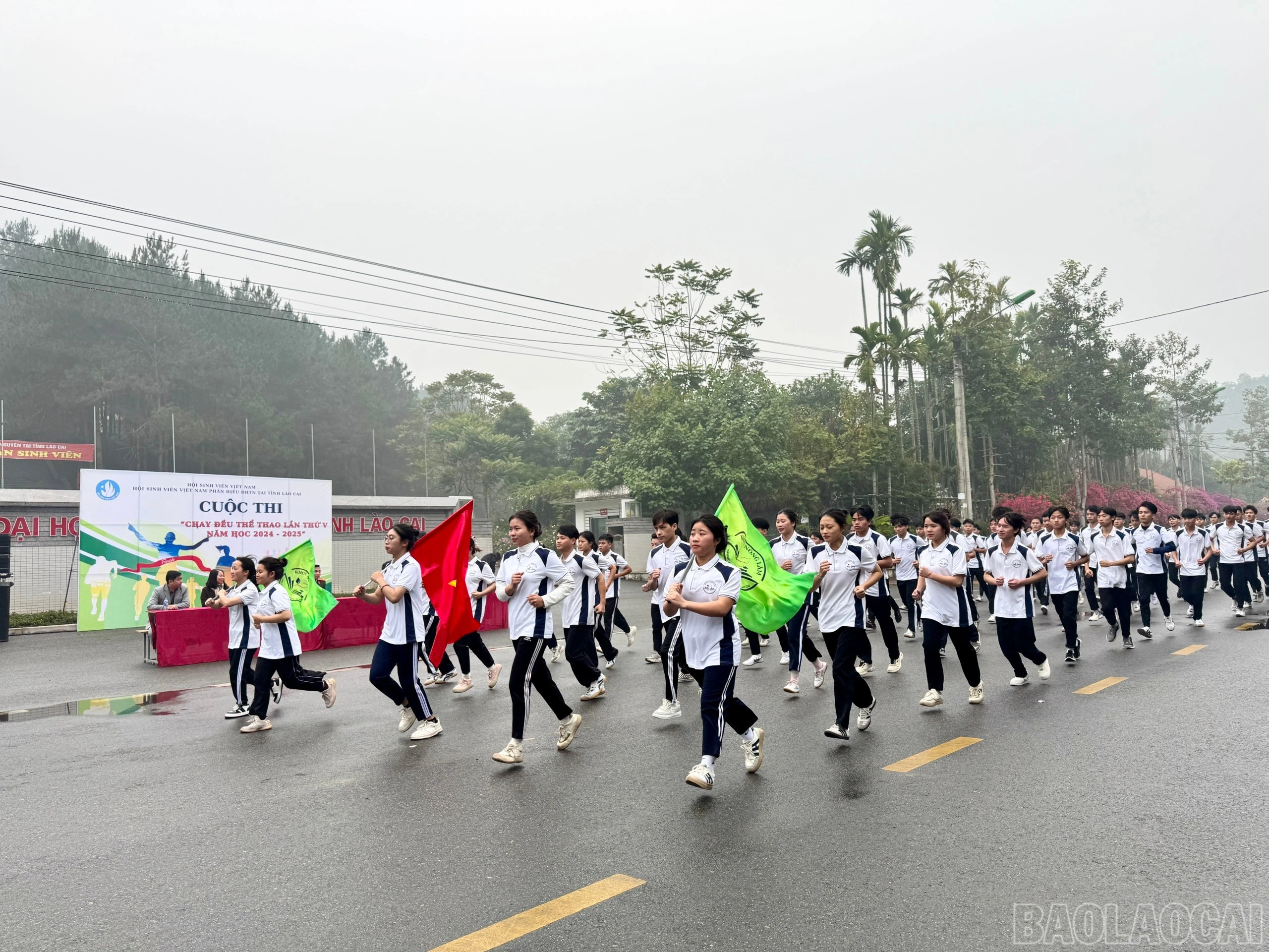 baolaocai-br_z6210974774674-224b4f568a106b0806b423ad3f4b3188.jpg